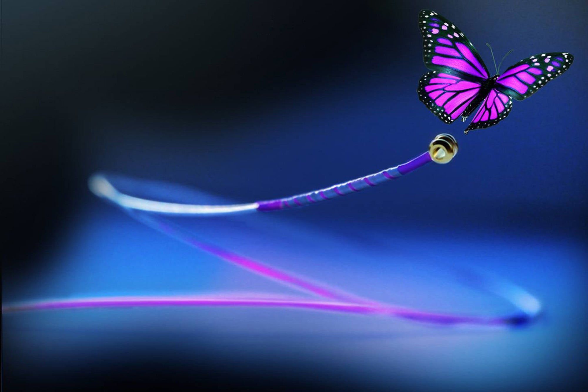 Savarez Corelli Cantiga Violin Strings