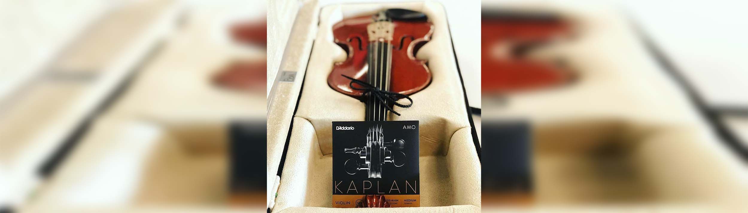 D'Addario Kaplan Vivo Violin Strings