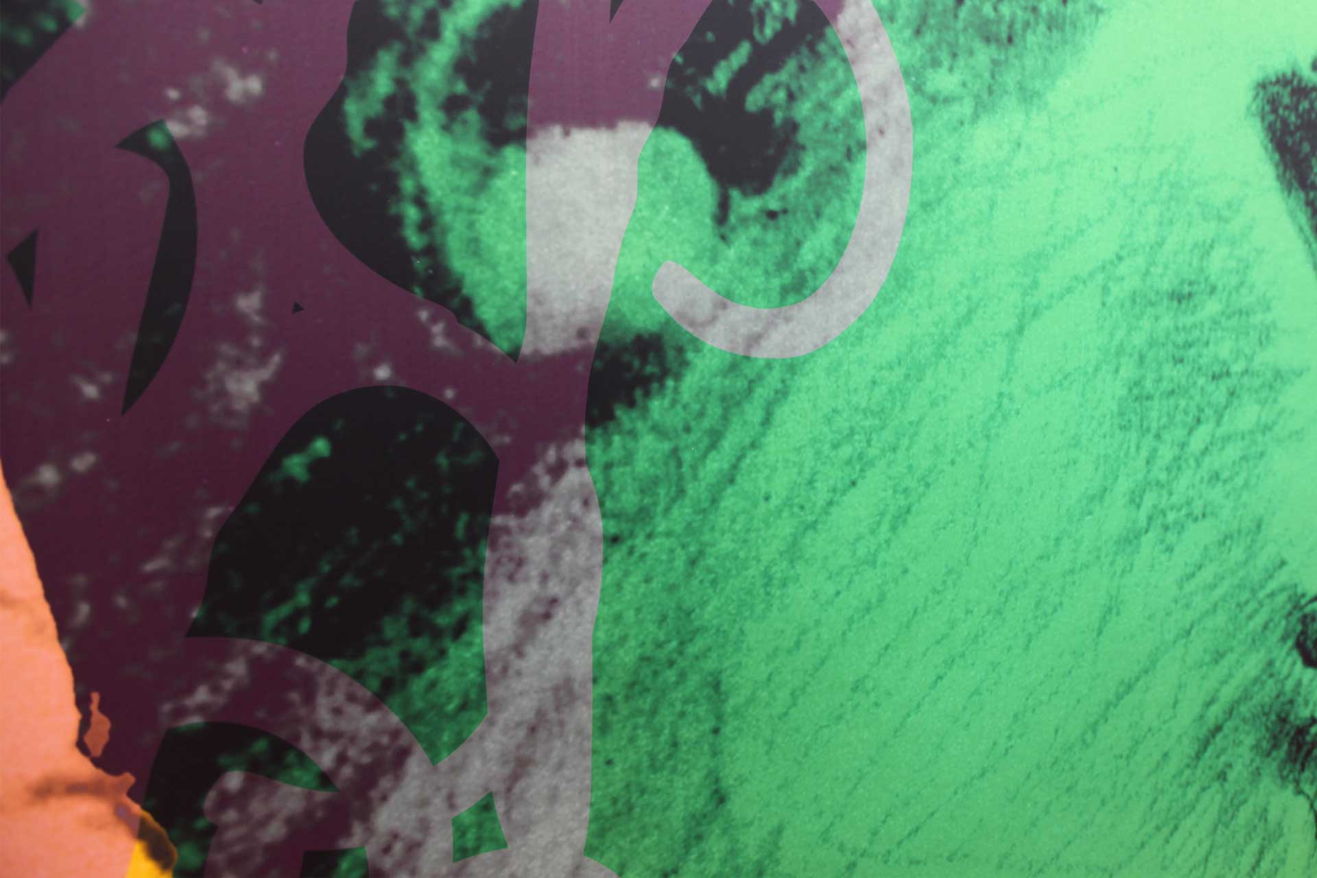 Pirastro Evah Pirazzi Viola Strings - The Soloists' Choice