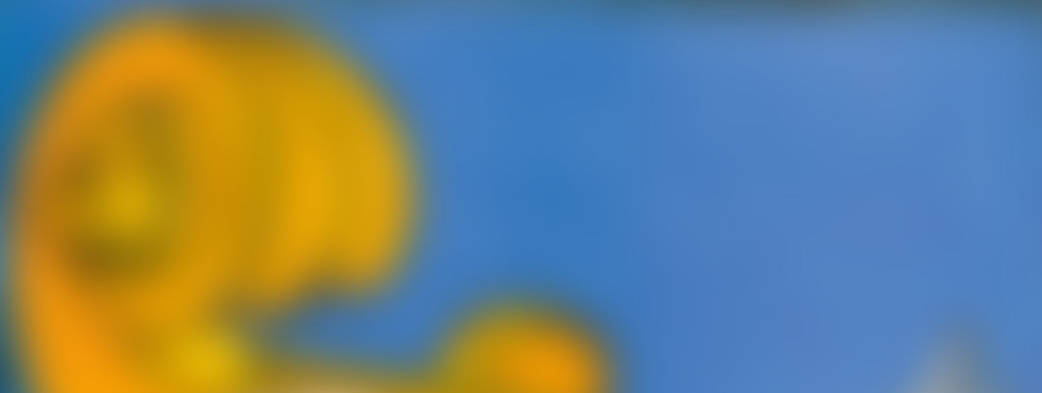 Pirastro Permanent Cello Strings