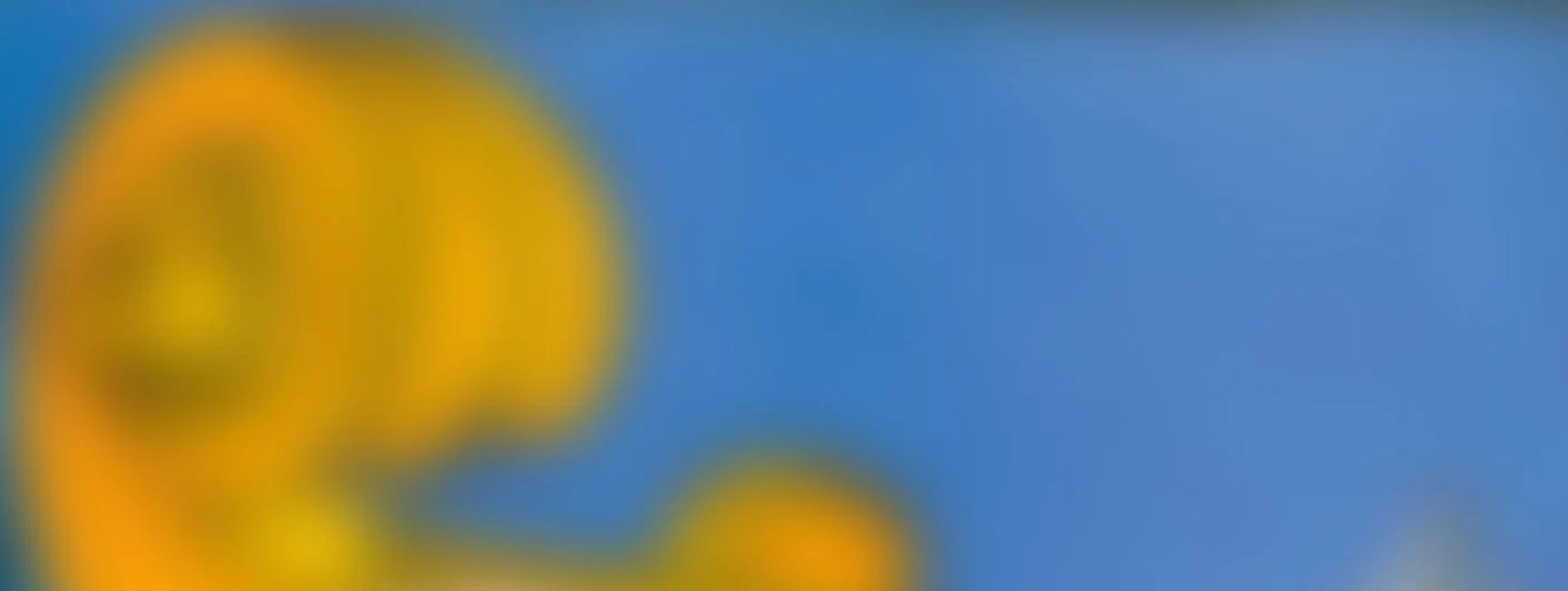 Pirastro Permanent Soloist Cello Strings