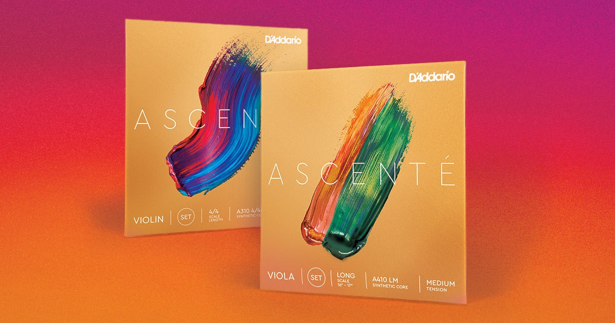 D'Addario Ascenté Violin Strings