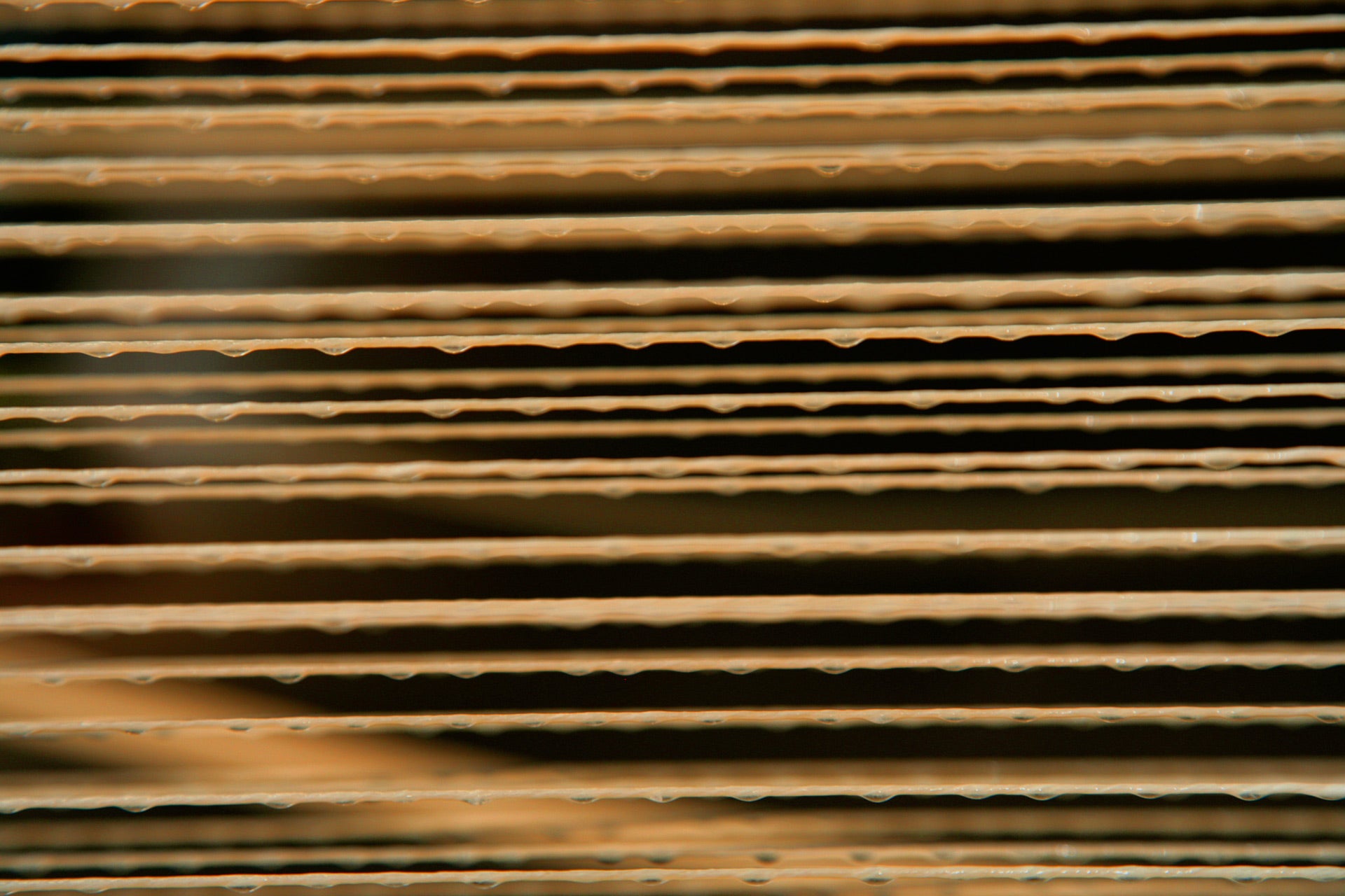 Pirastro Chorda Cello Strings