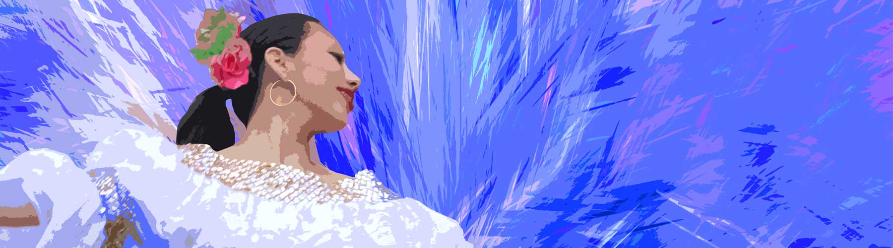 Larsen Tzigane Violin Strings