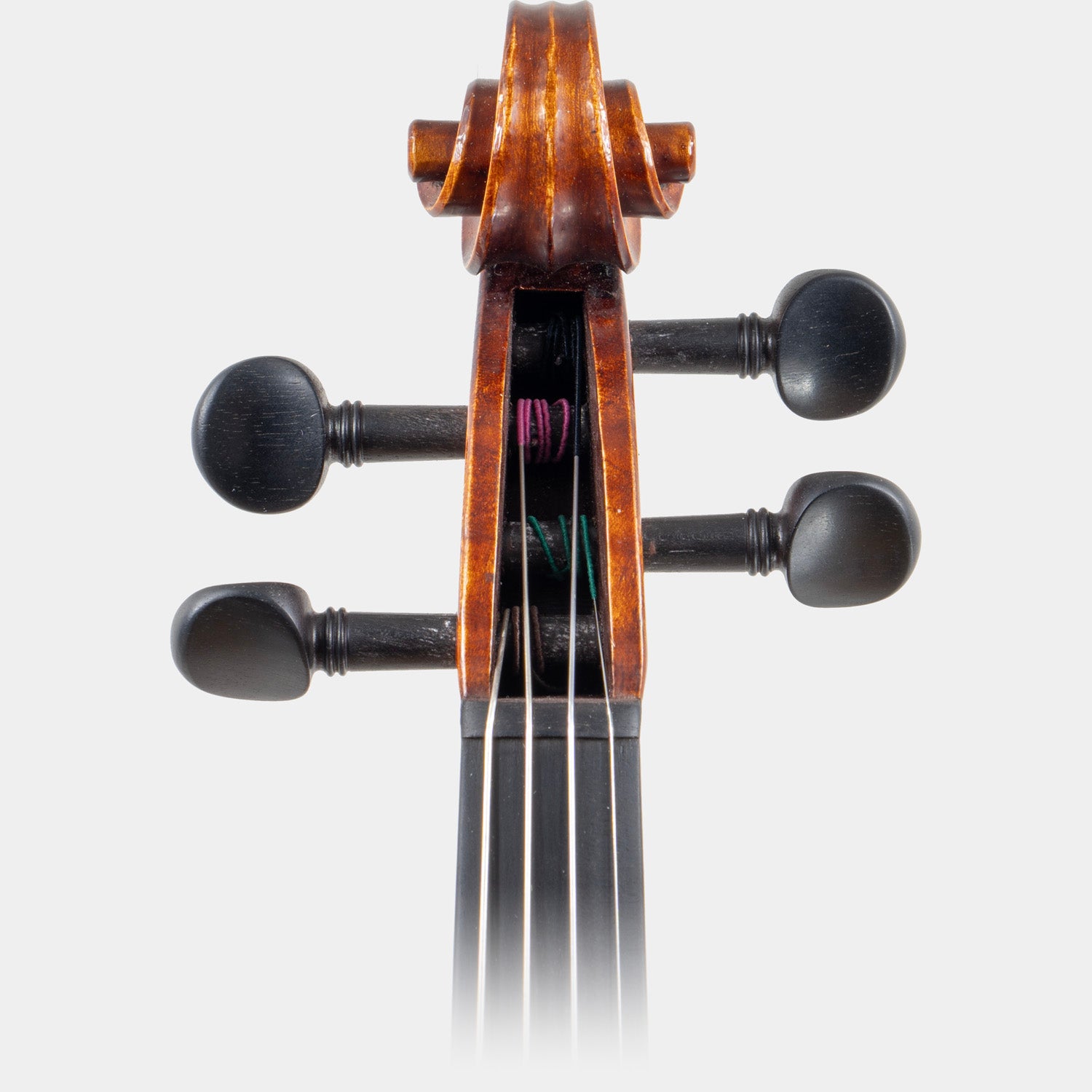 Maestro 41 Violin