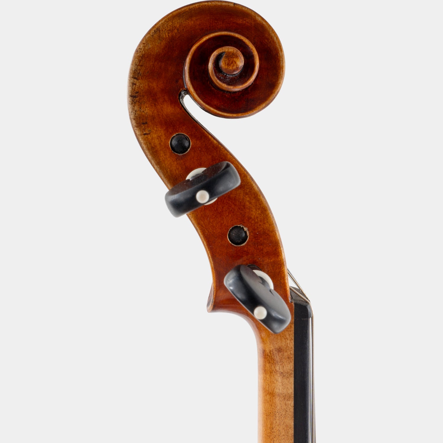 Maestro 71 Violin