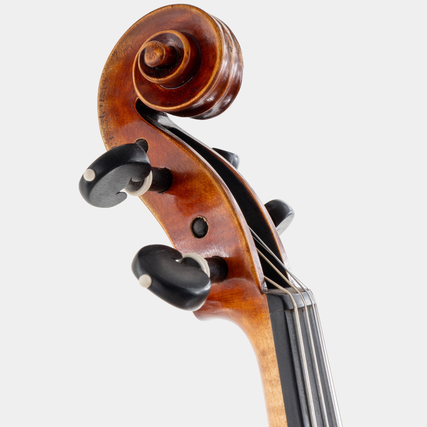 Maestro 71 Violin