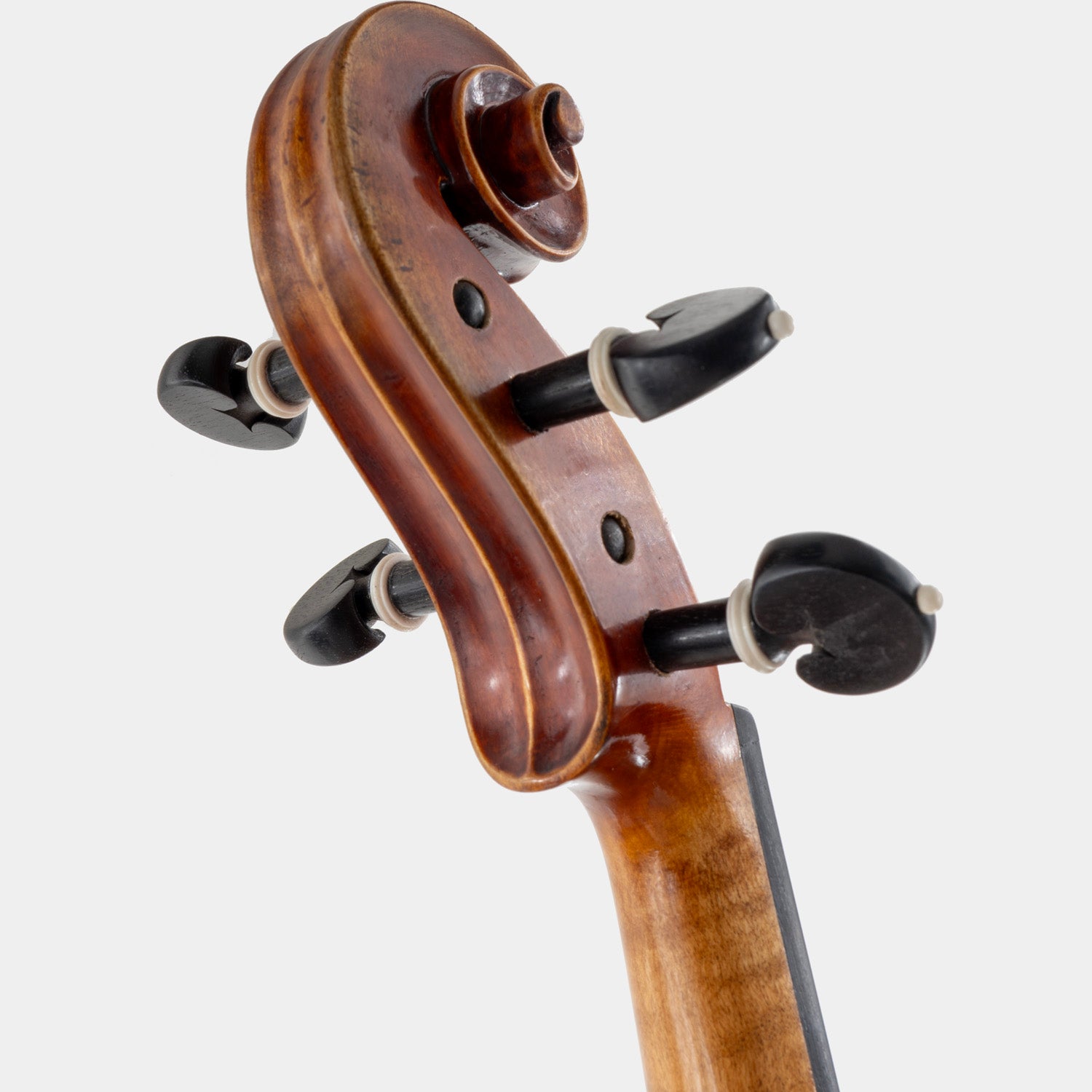 Maestro 71 Violin