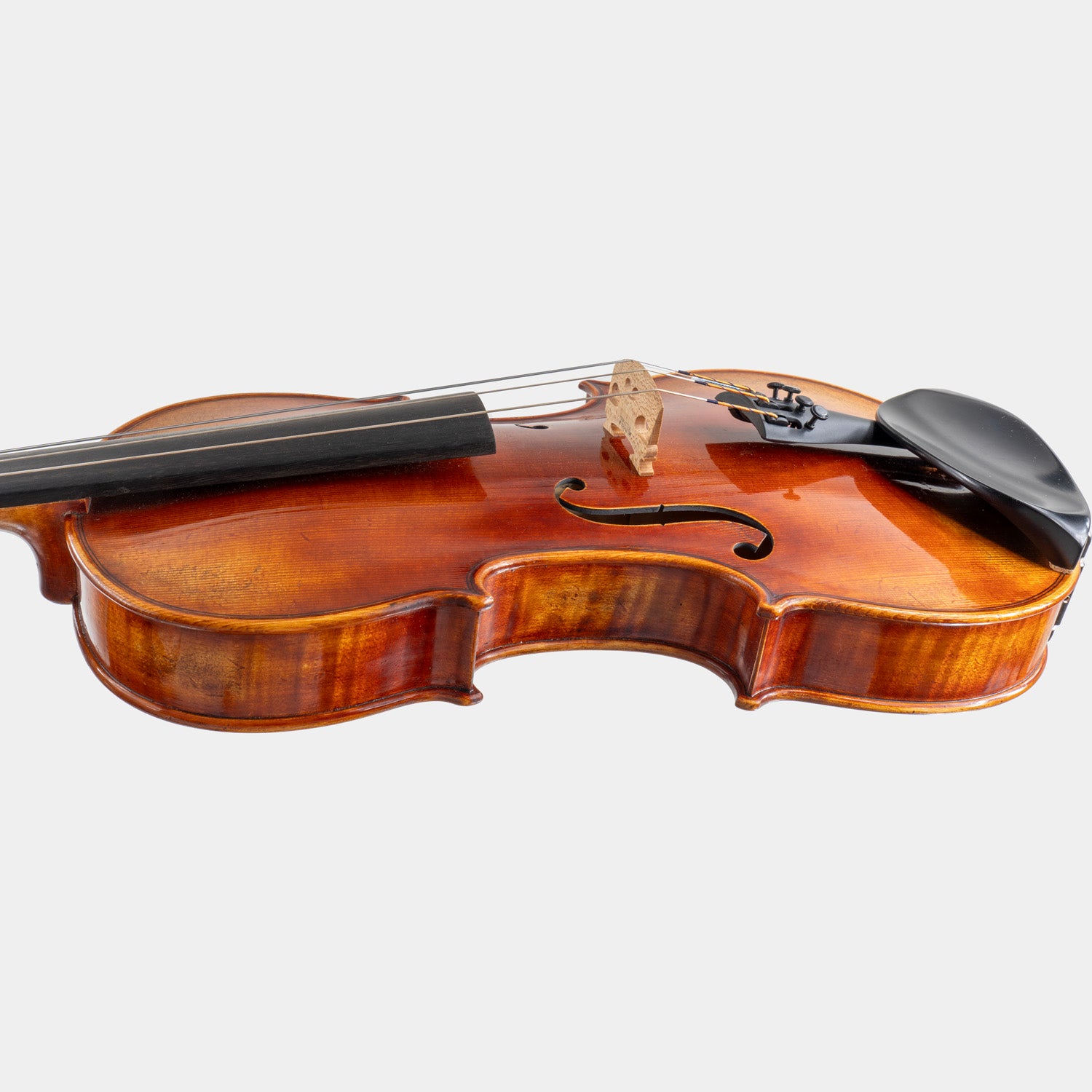 Maestro 71 Violin