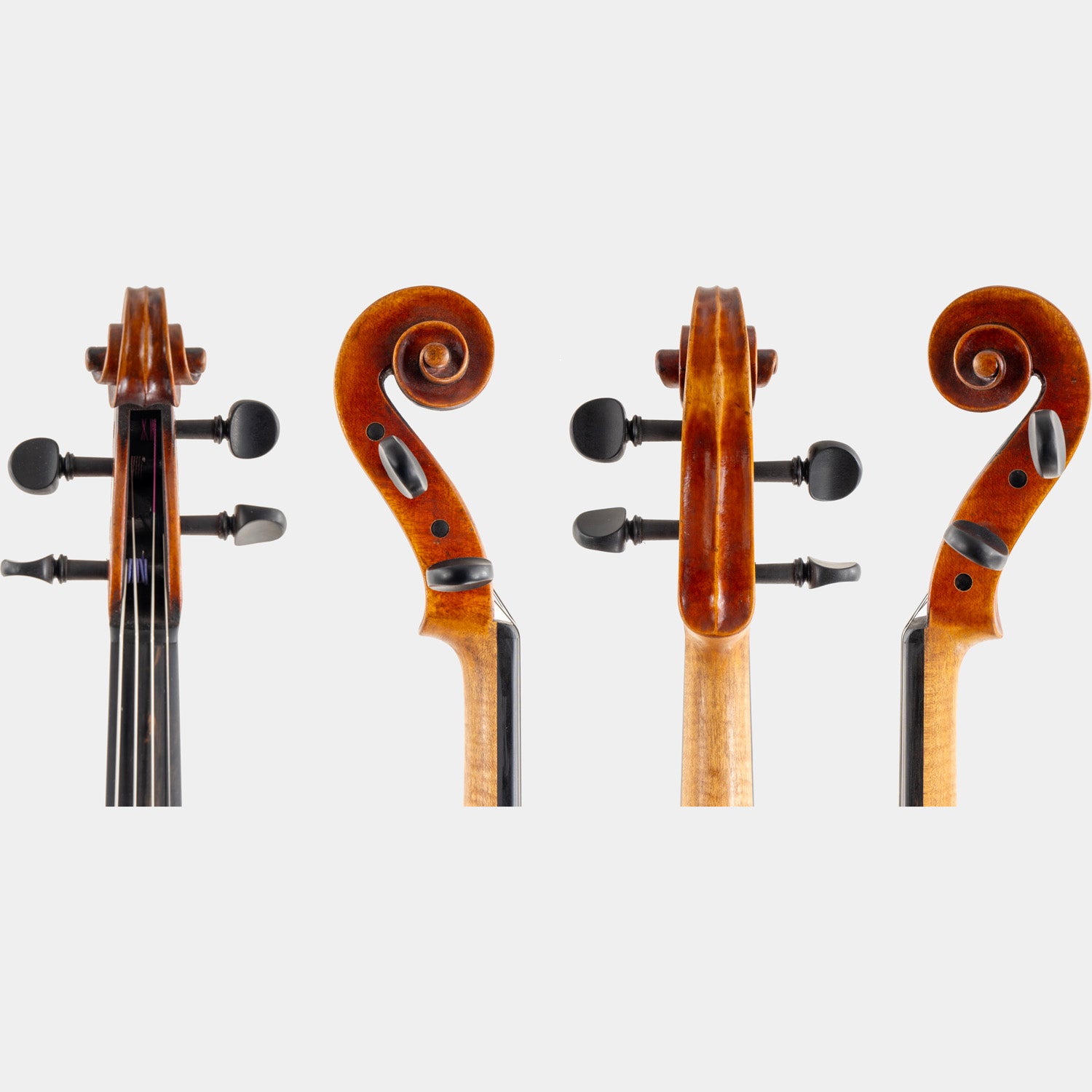 Special Model Bajoni Viola