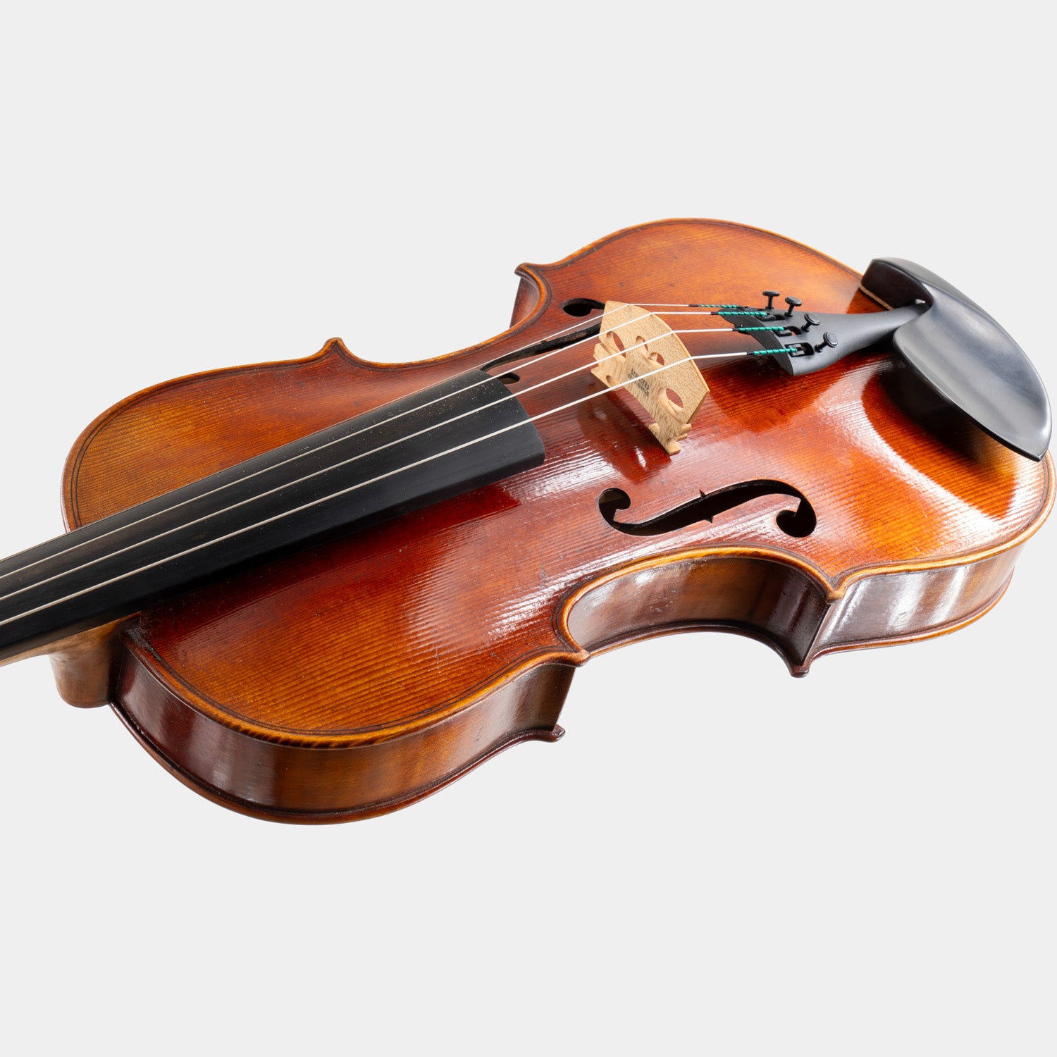 Special Model Bajoni Viola