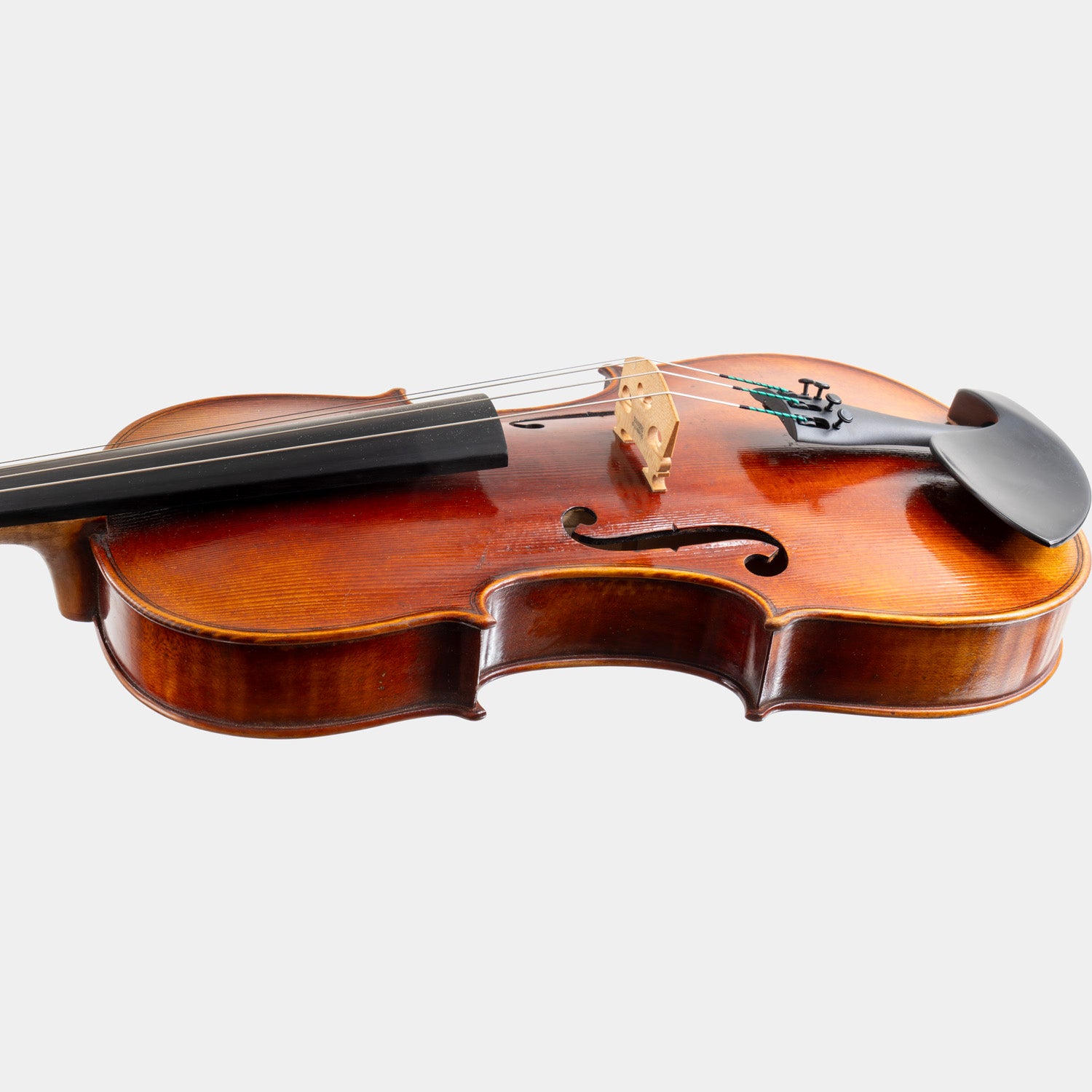 Special Model Bajoni Viola