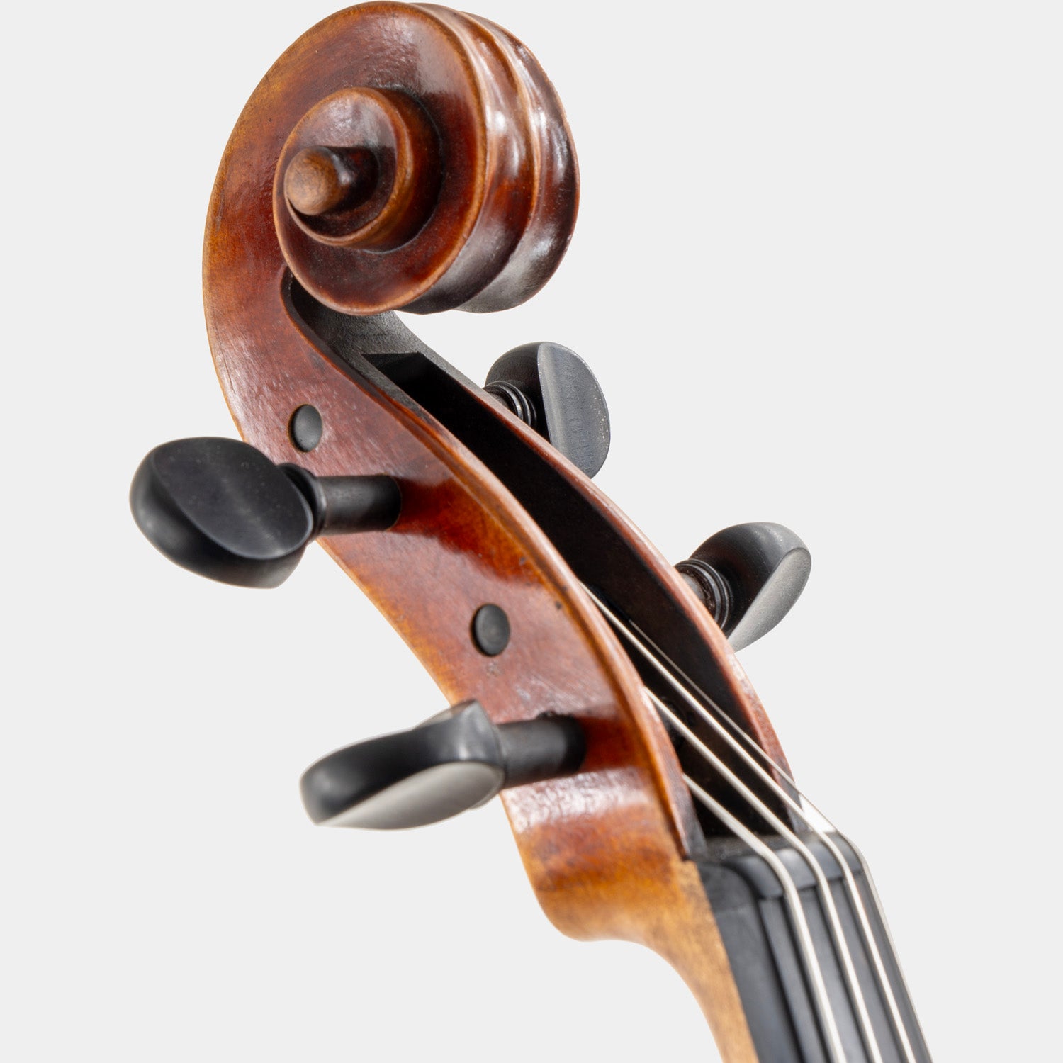 Special Model Bajoni Viola