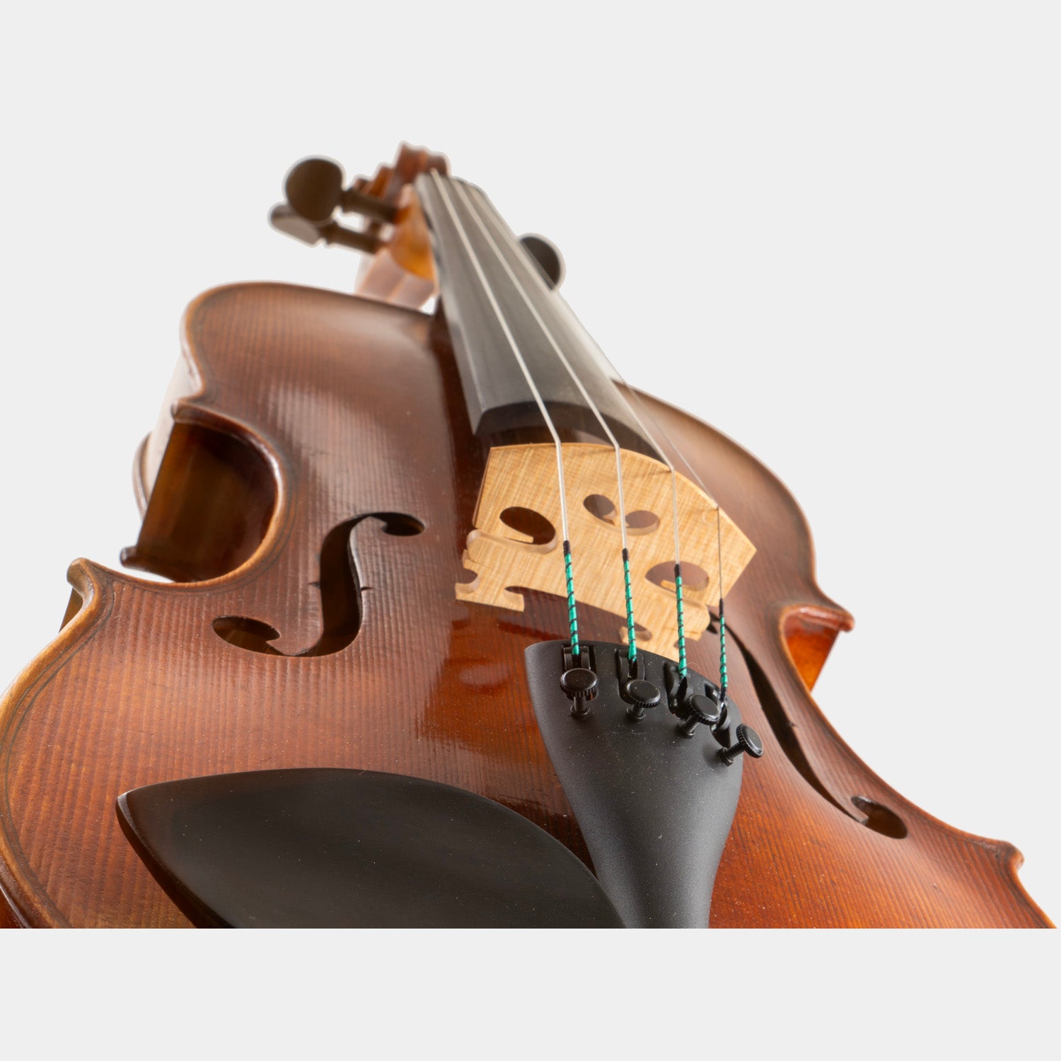 Special Model Bajoni Viola