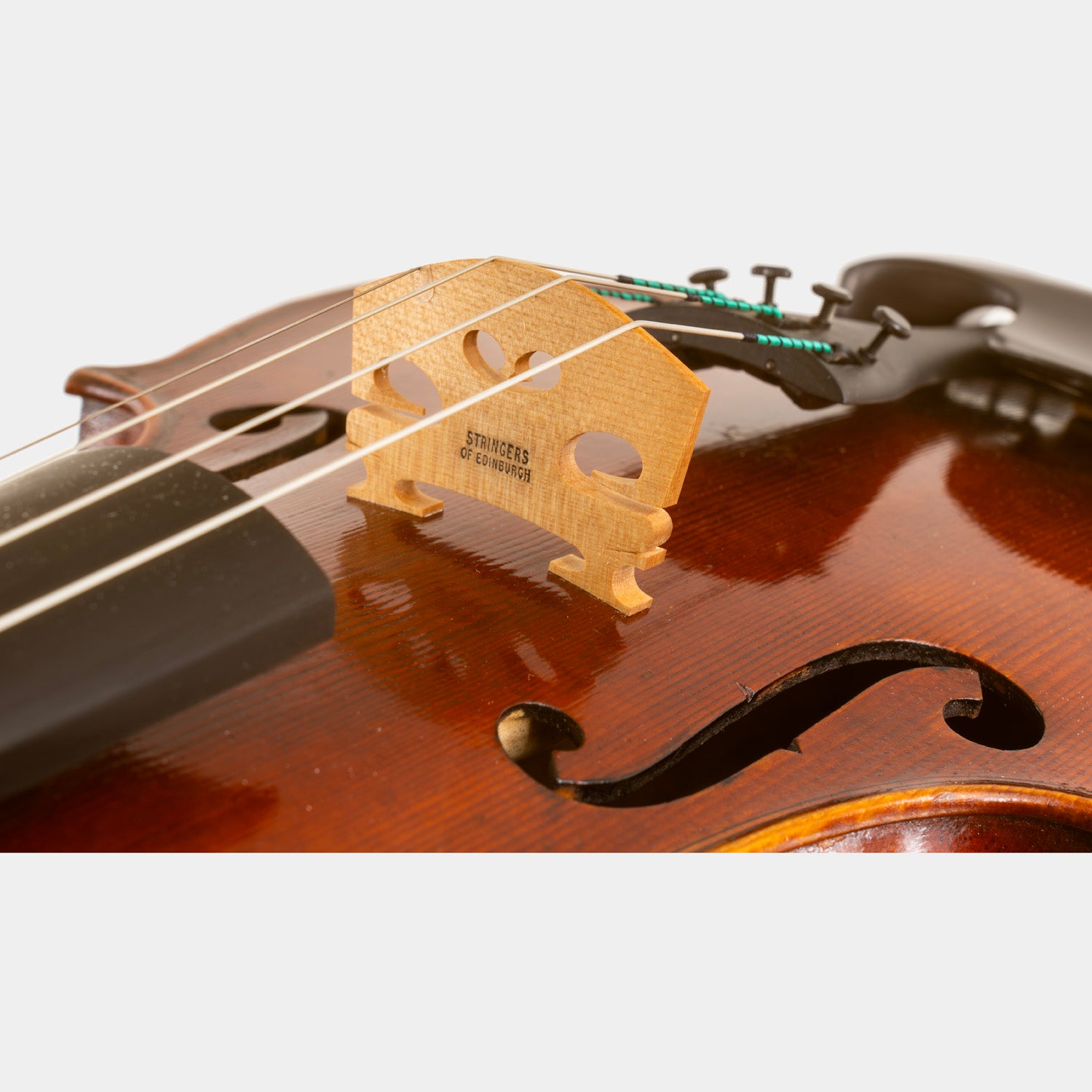 Special Model Bajoni Viola