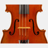 Master V Violin