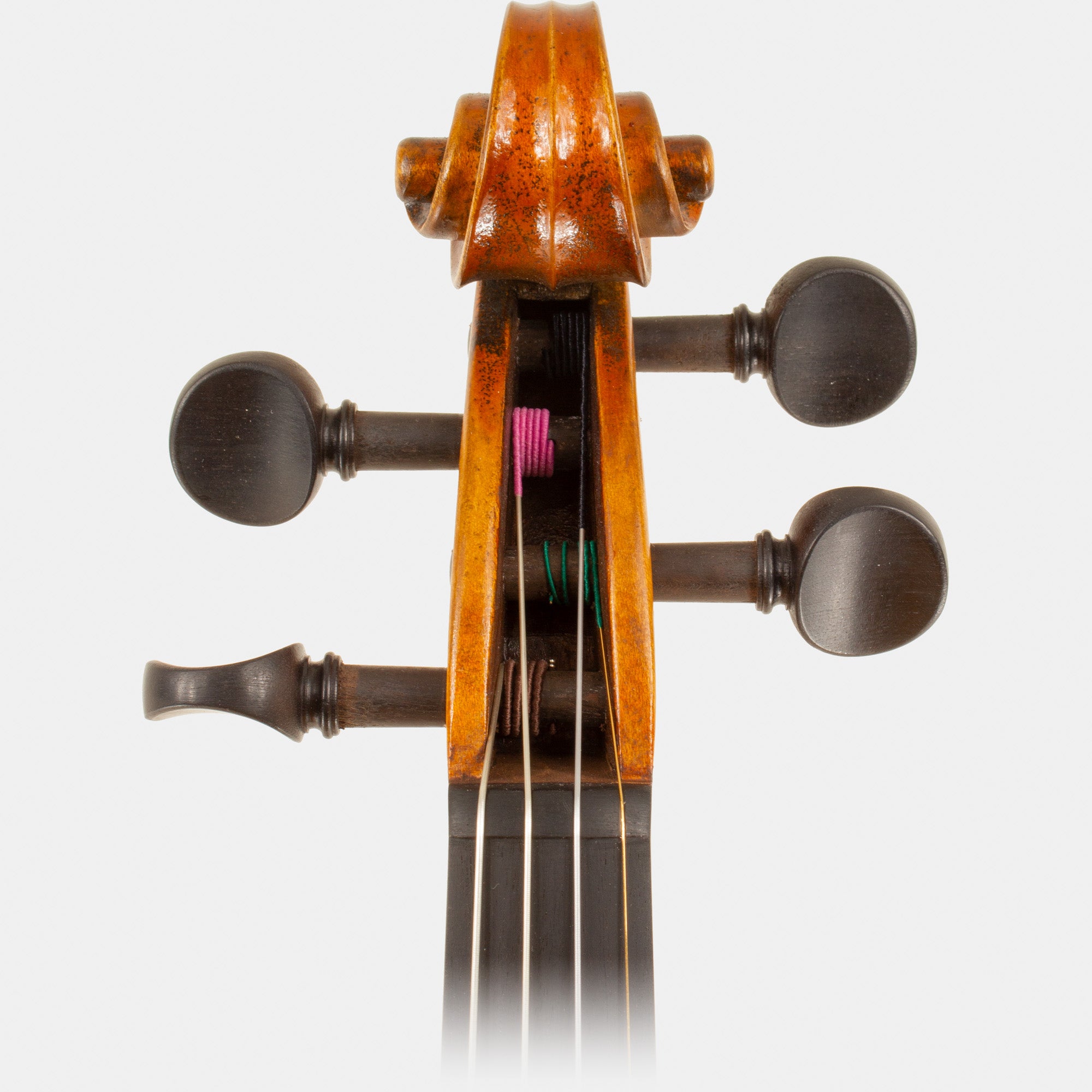 Master V Violin