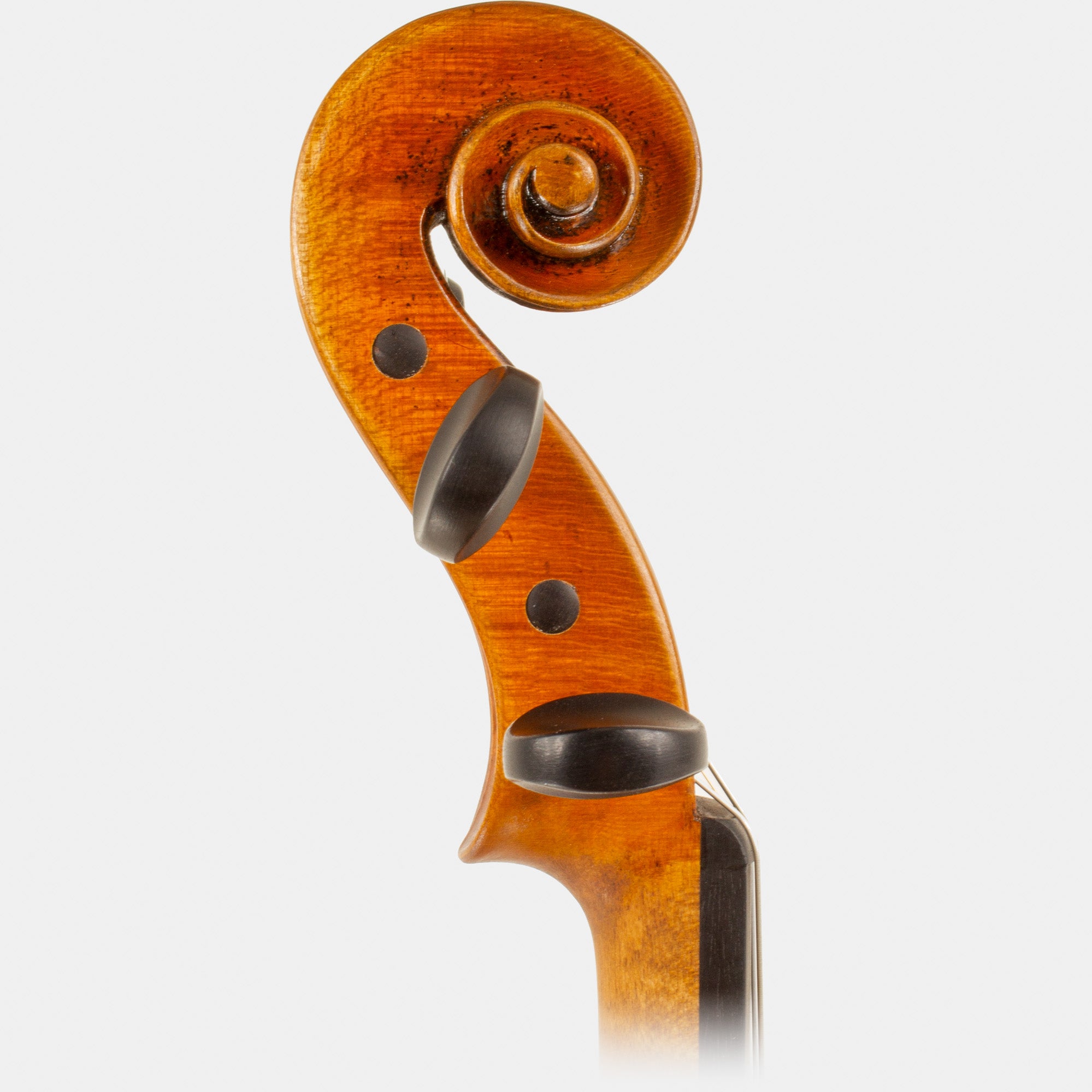 Master V Violin