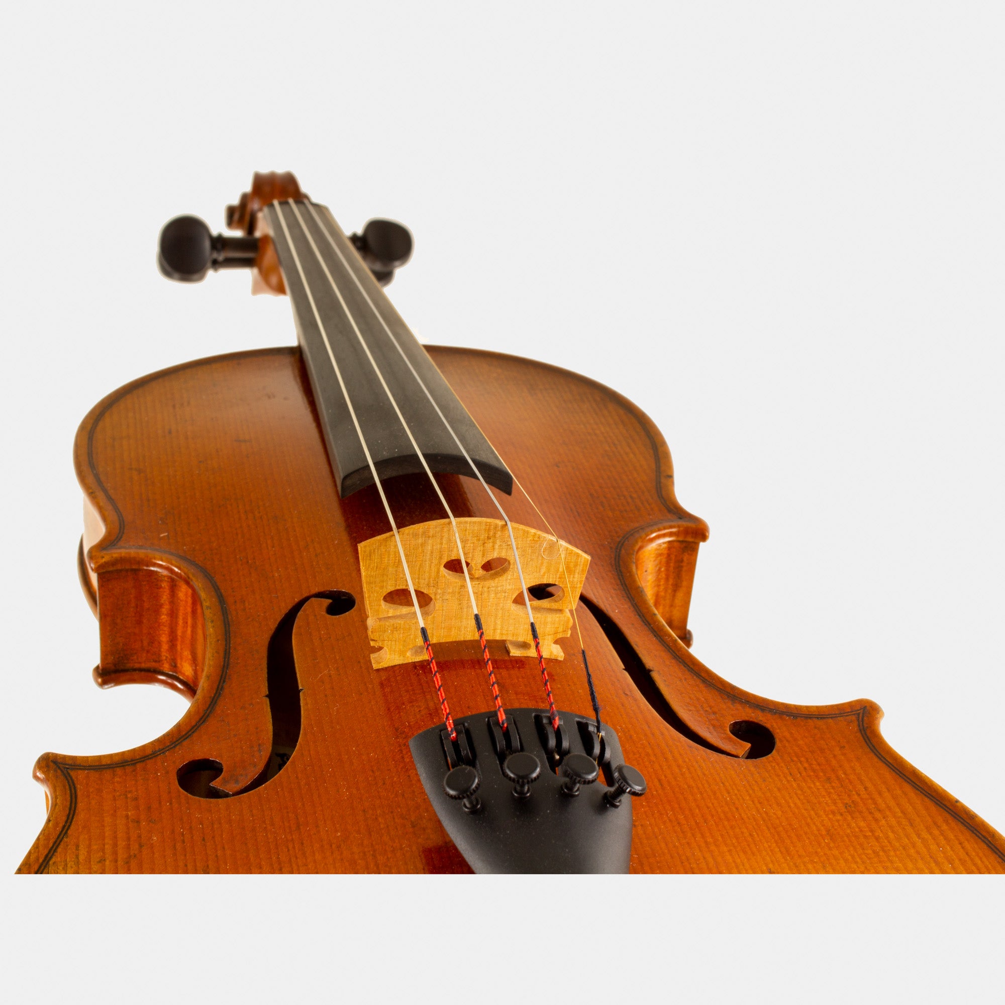 Master V Violin