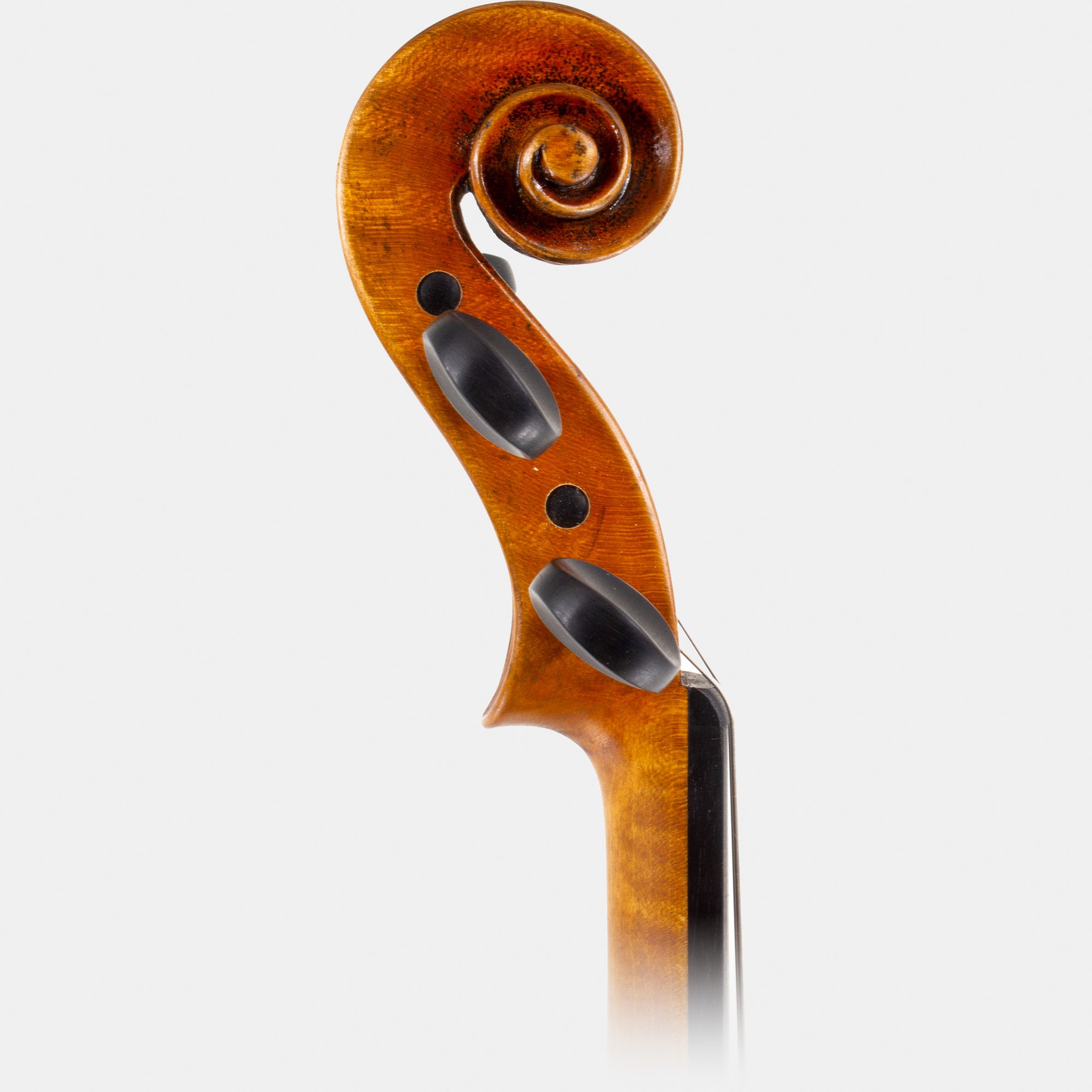 Master VI Violin