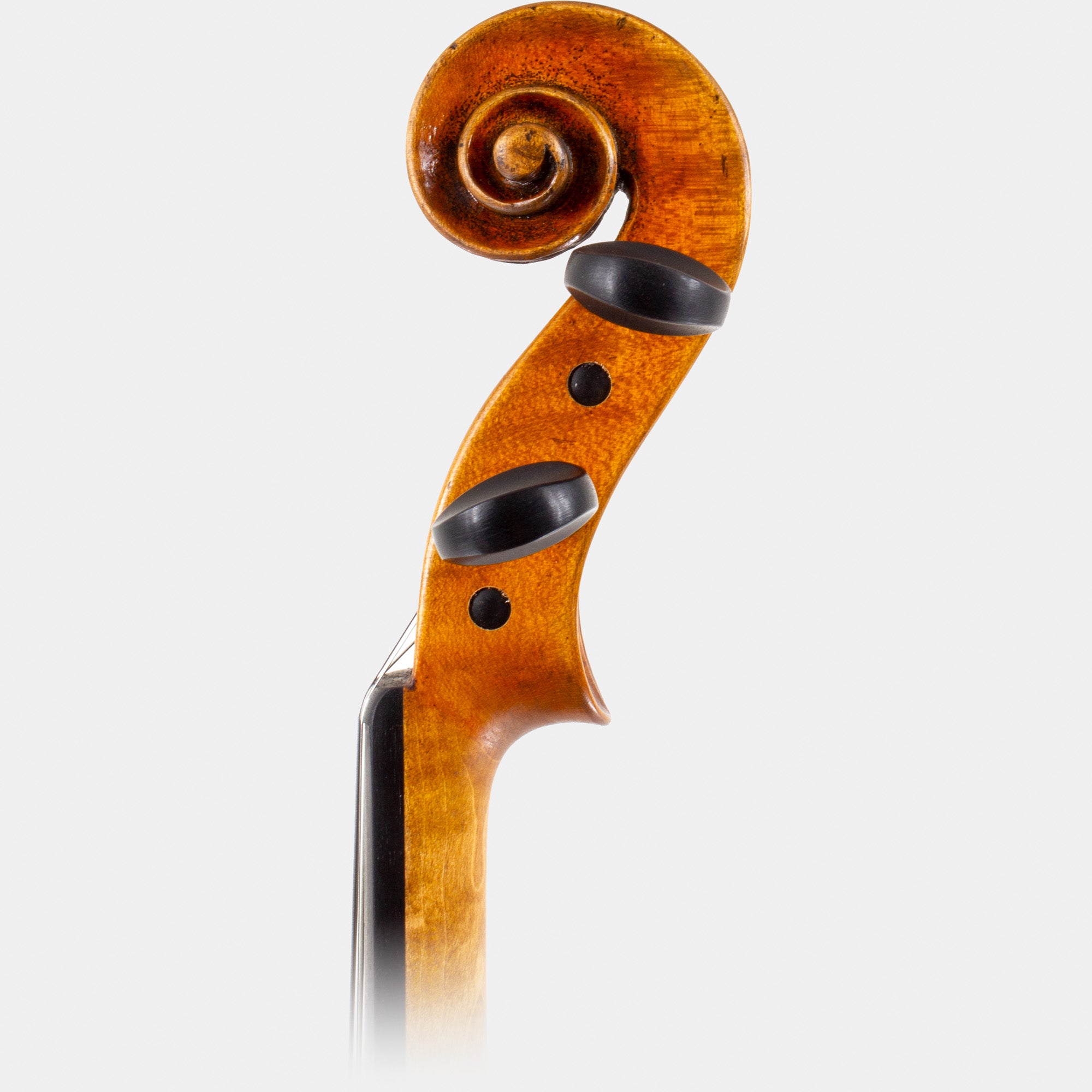 Master VI Violin