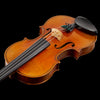 Master VI Violin