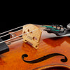 Master VI Violin