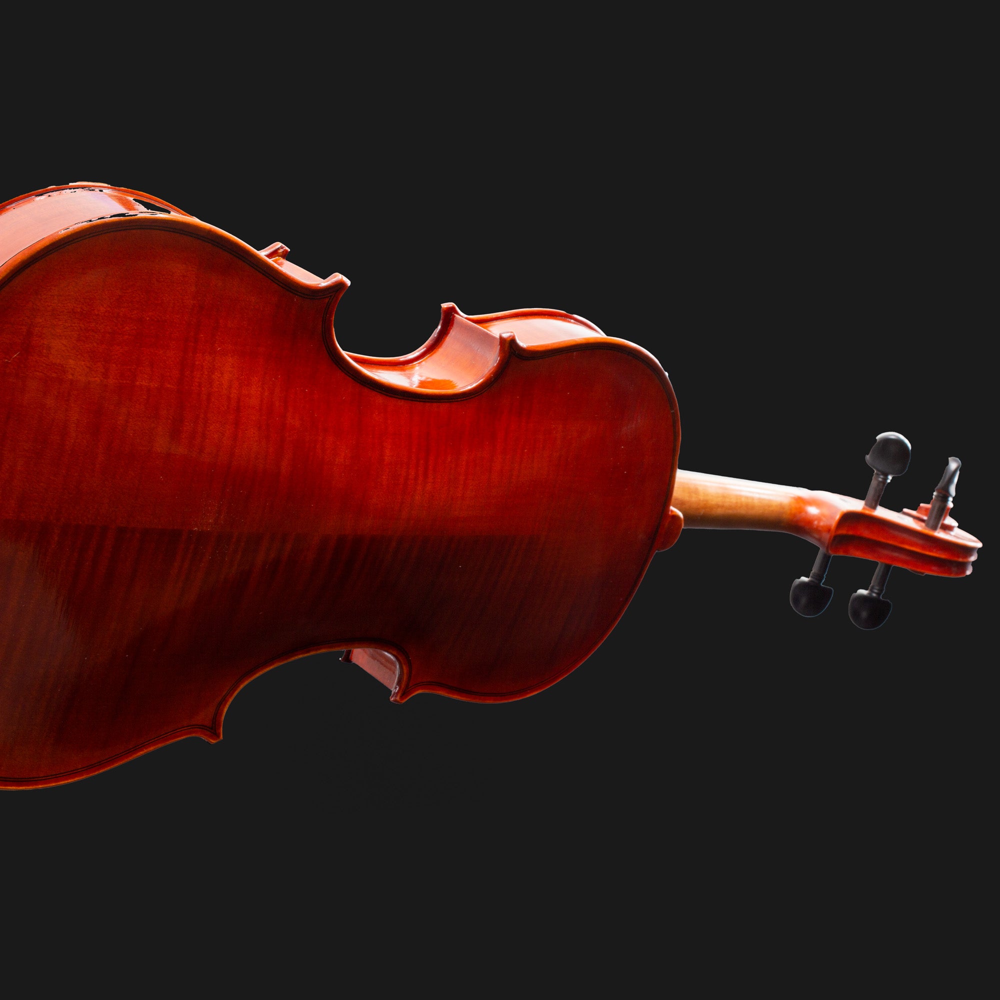 101 Model Violin