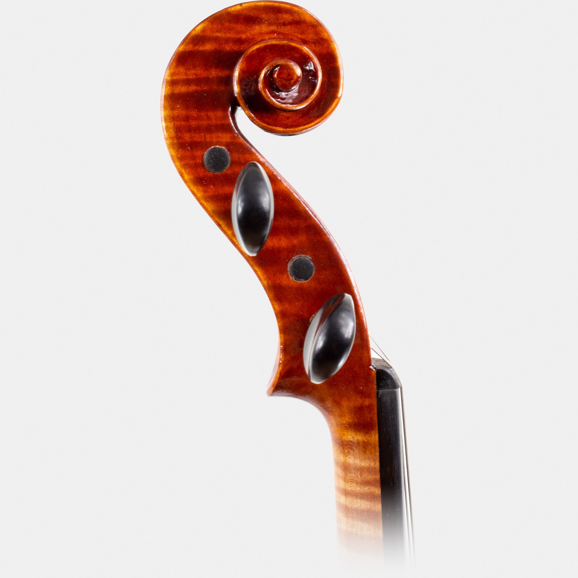 104 Model Violin