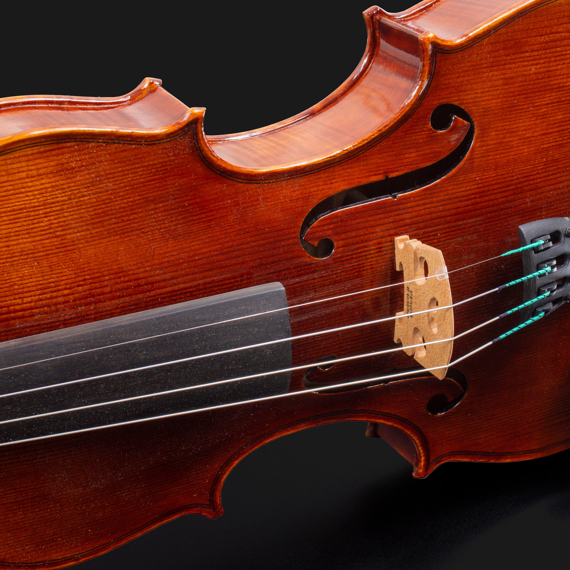 104 Model Violin