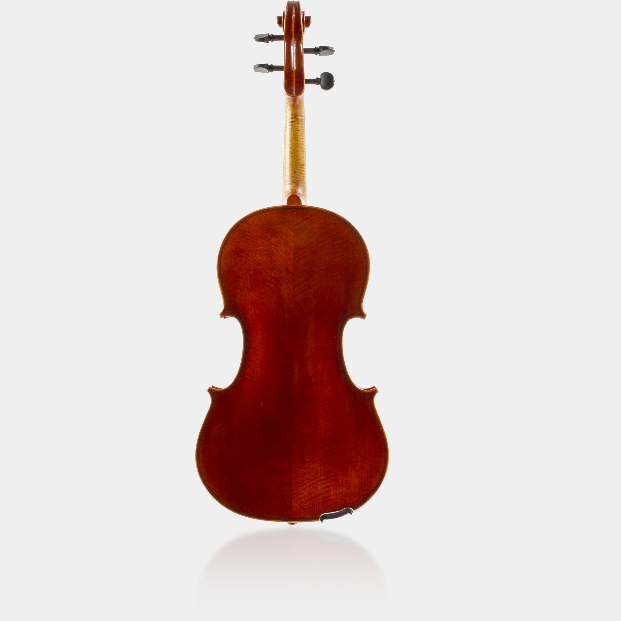 101 Model Viola