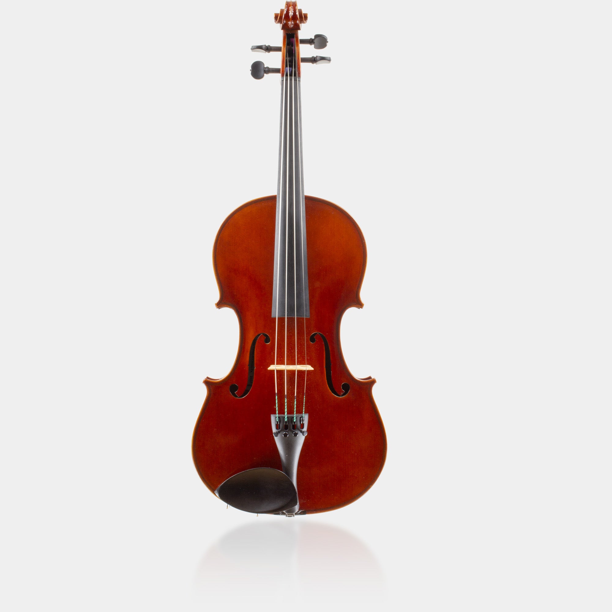 101 Model Viola