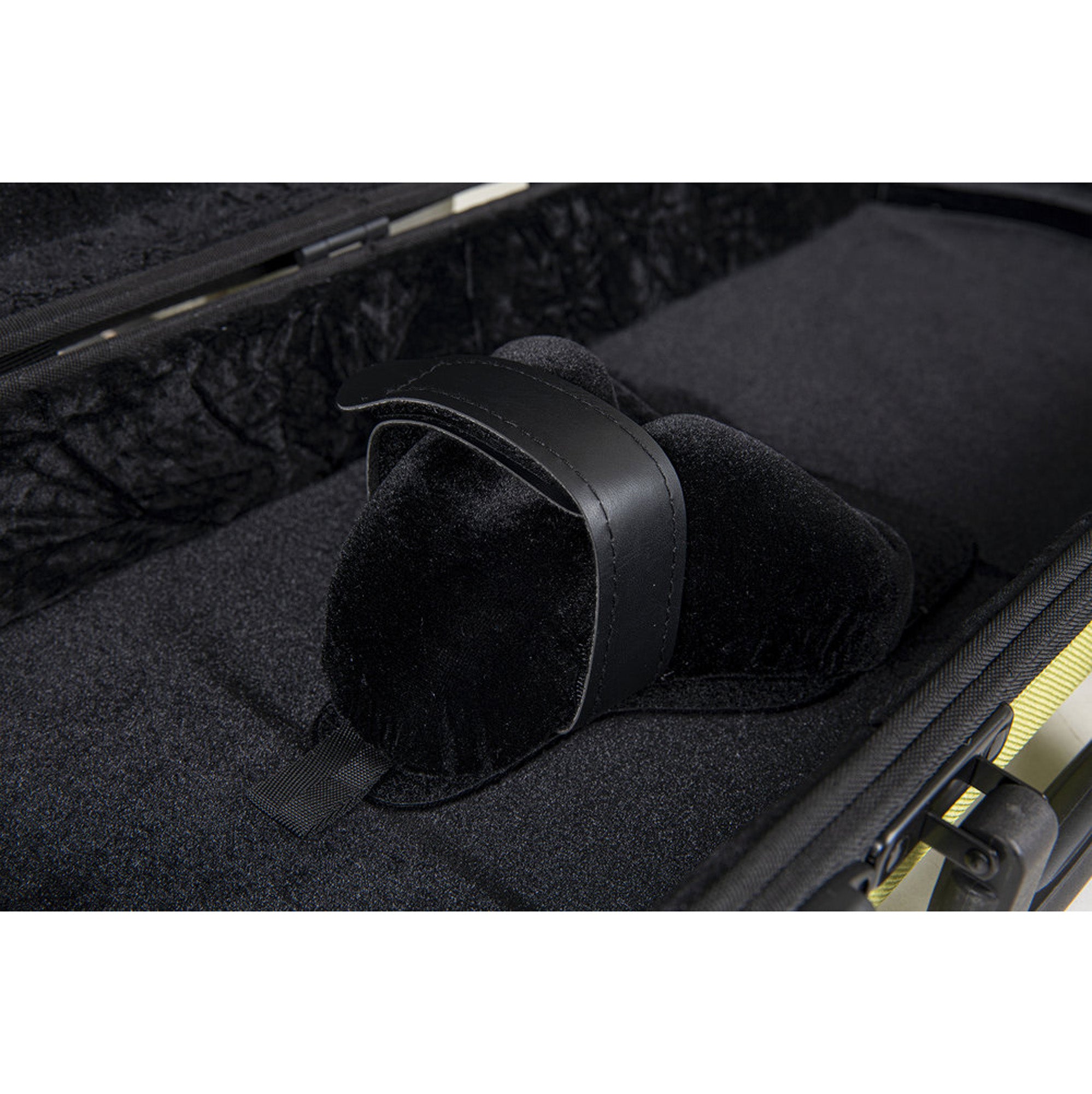 Bio A Violin Case