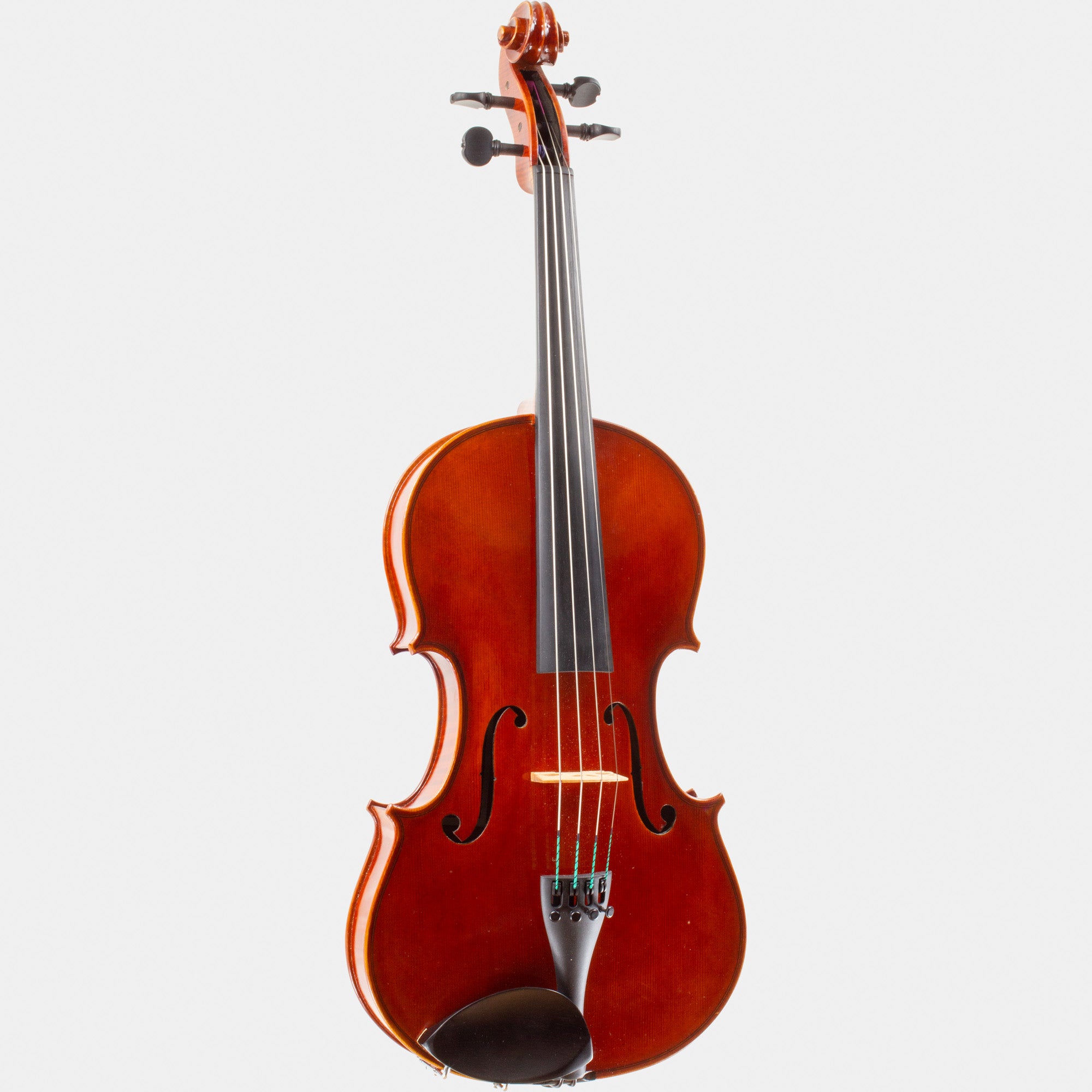 101 Model Viola