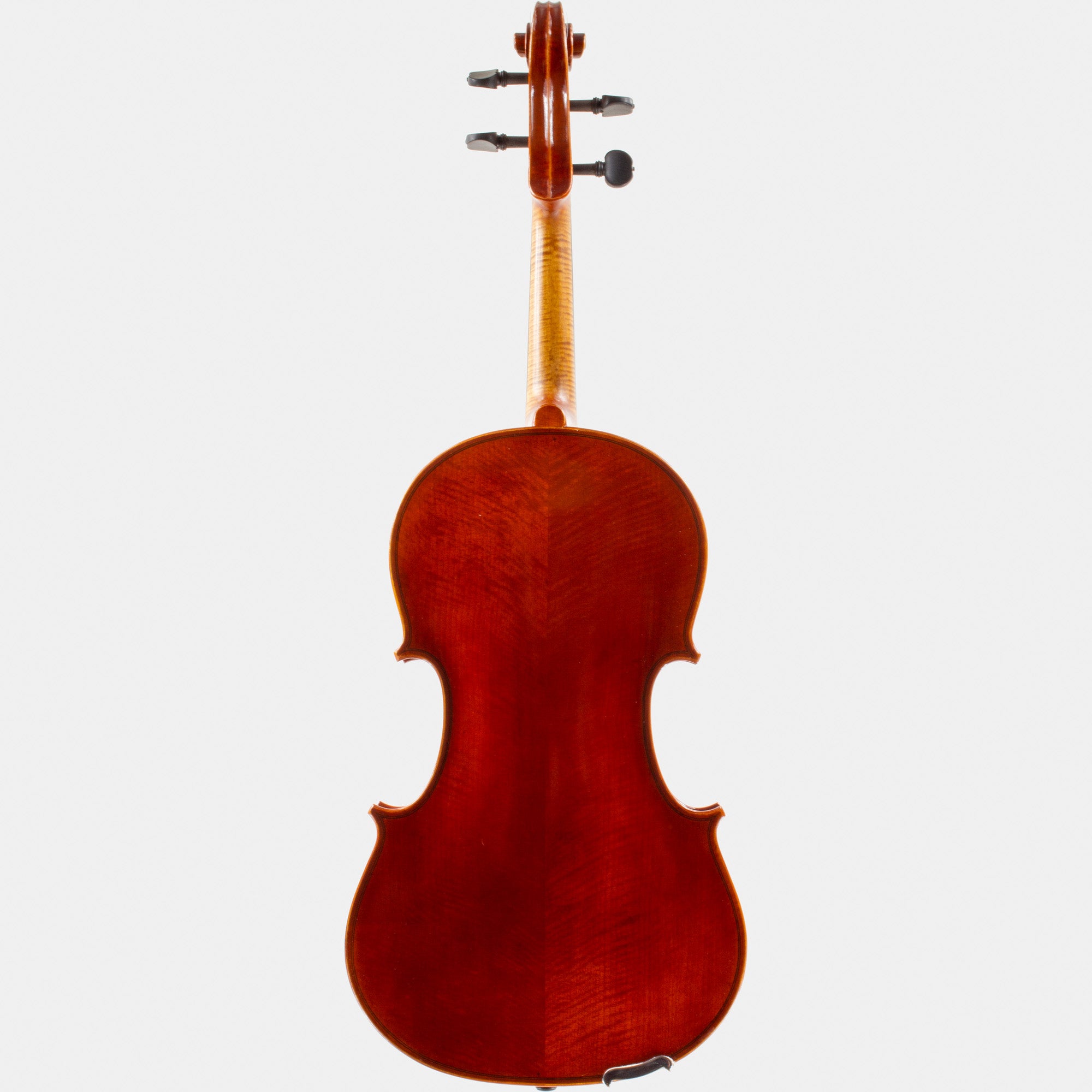 101 Model Viola