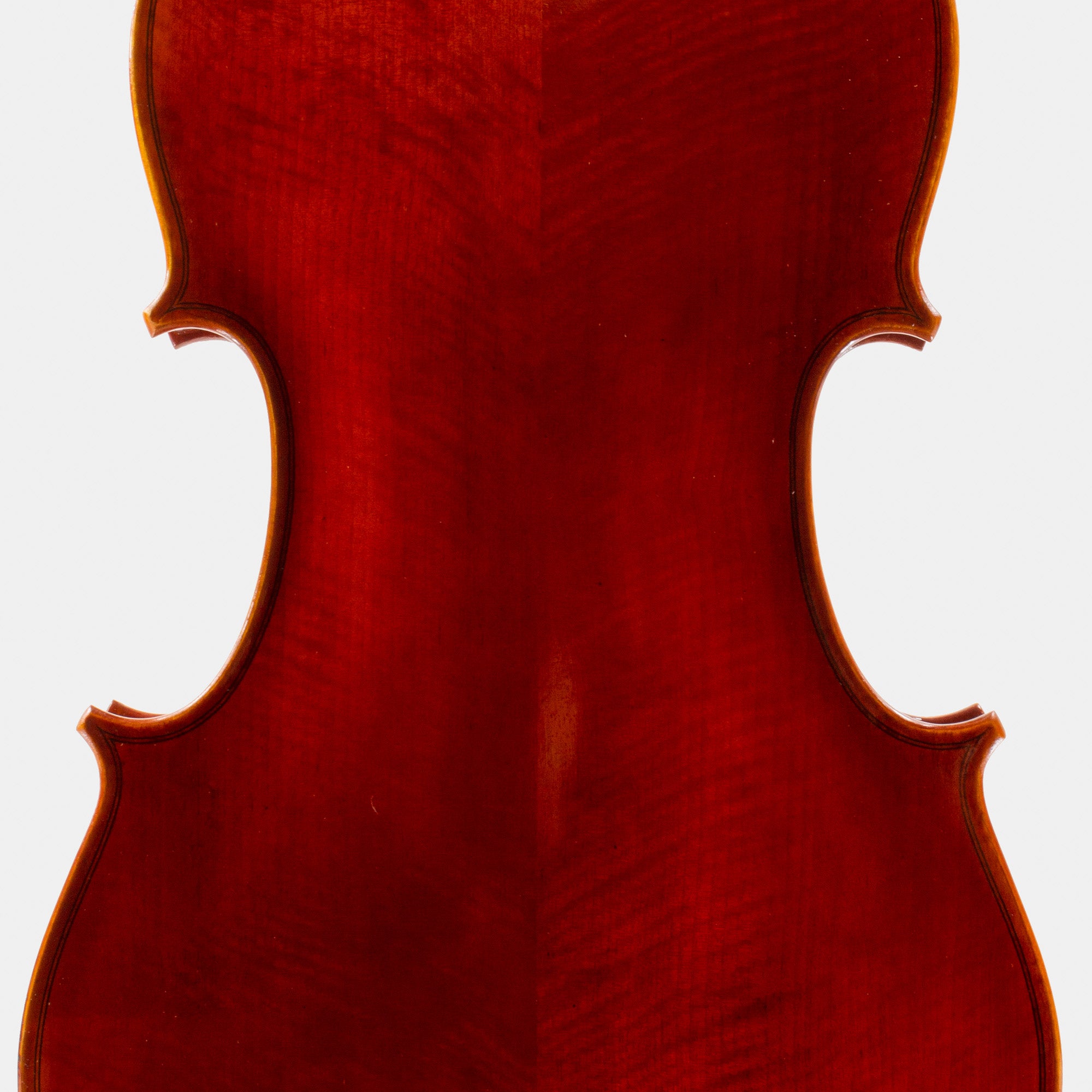 101 Model Viola
