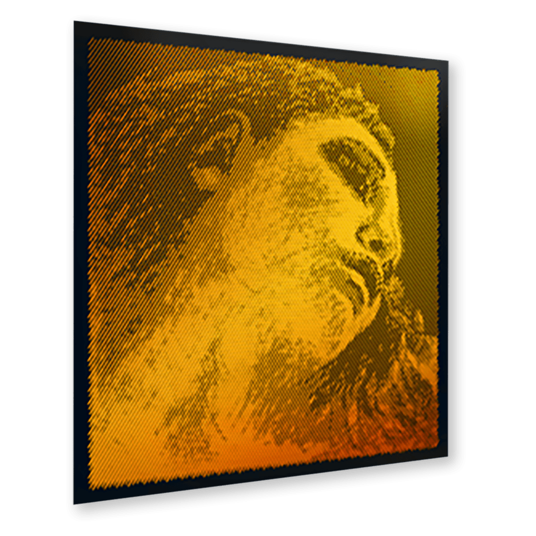 Pirastro Evah Pirazzi Gold Violin D string - Stringers Music