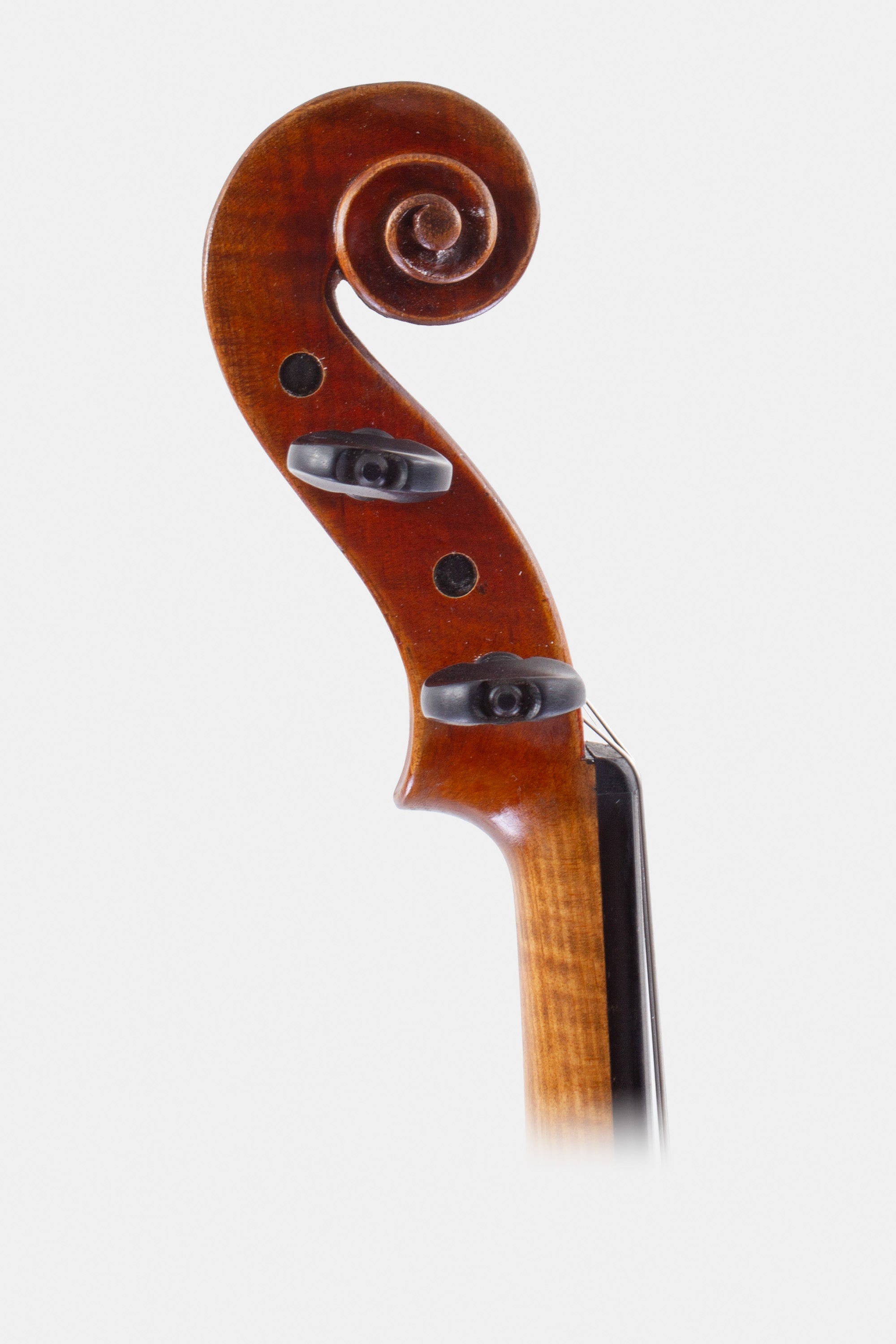 L'Ancienne Guarneri Violin