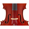 Stringers Superior Cello Outfit - Stringers Music