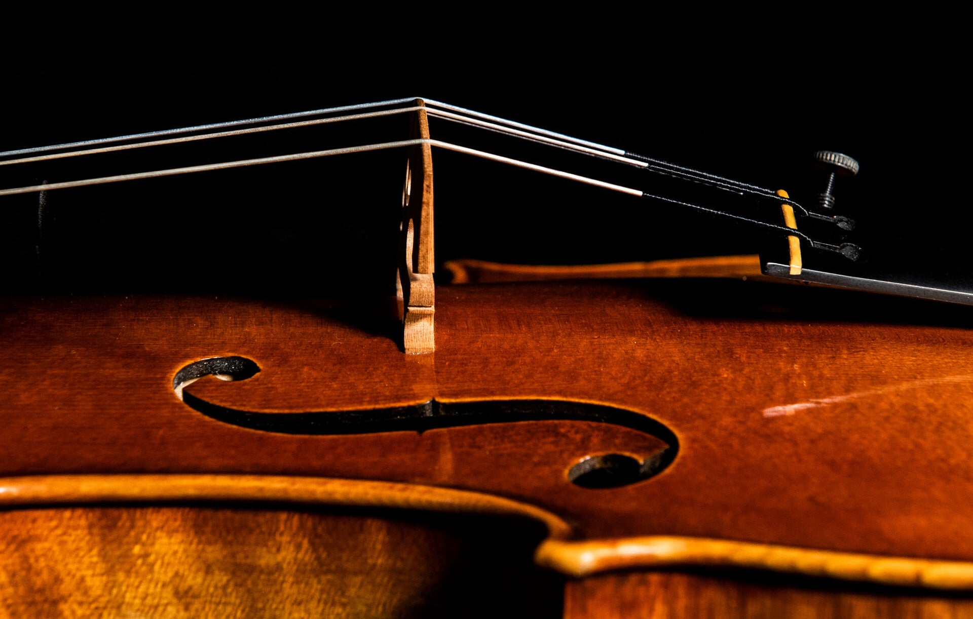 Thomastik Dominant Pro Viola Strings