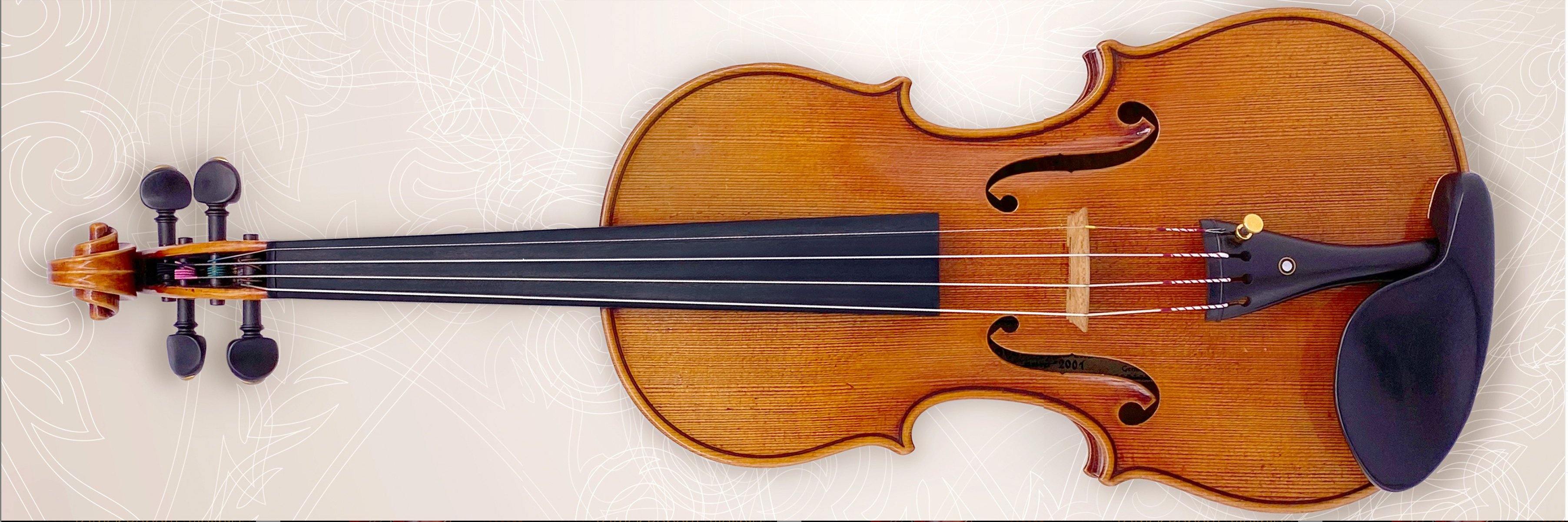 Pirastro Perpetual - Stringers Music