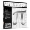 Peter Infeld Cello Set