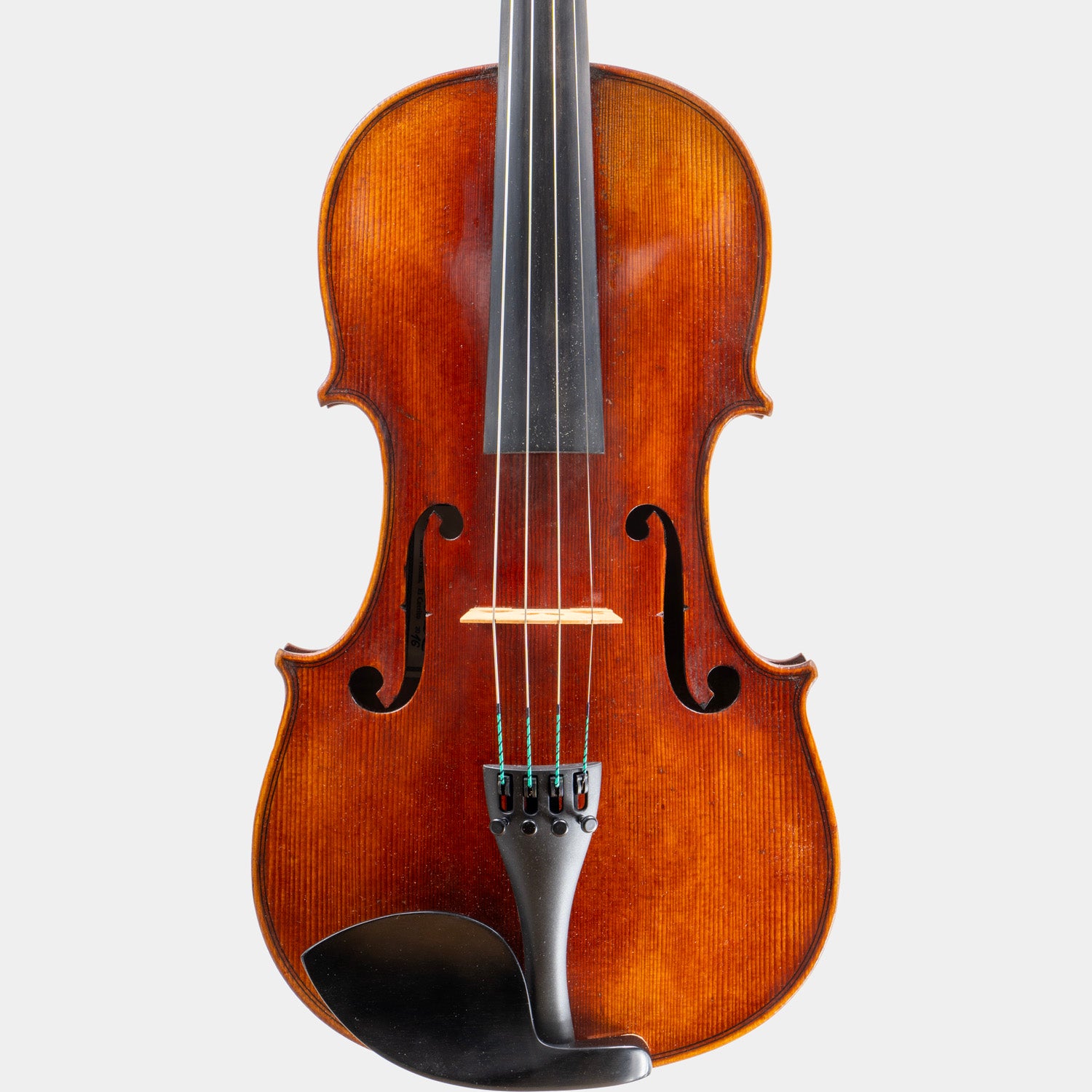 Special Model Bajoni Viola