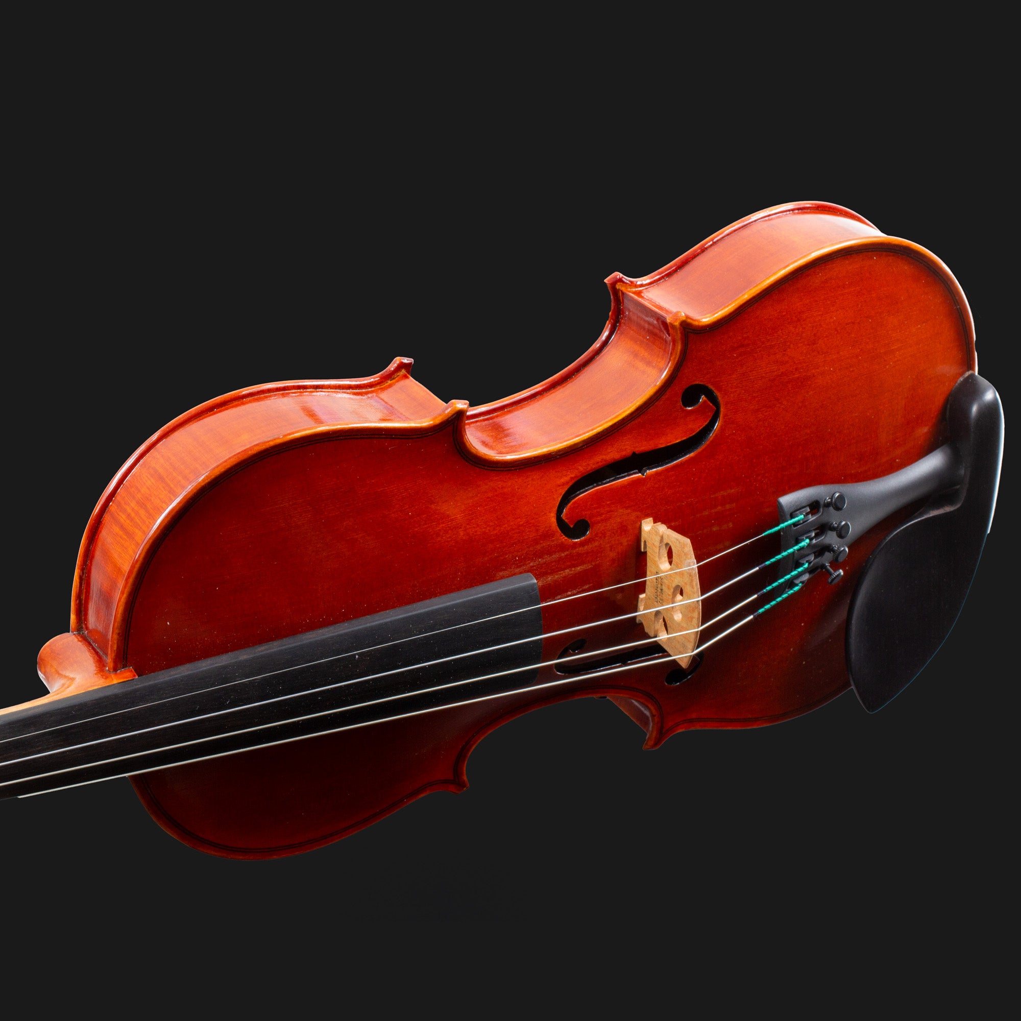 101 Model Violin