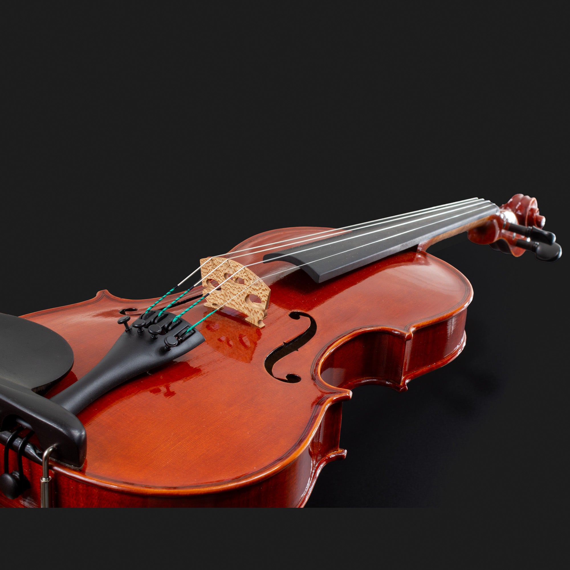 101 Model Violin
