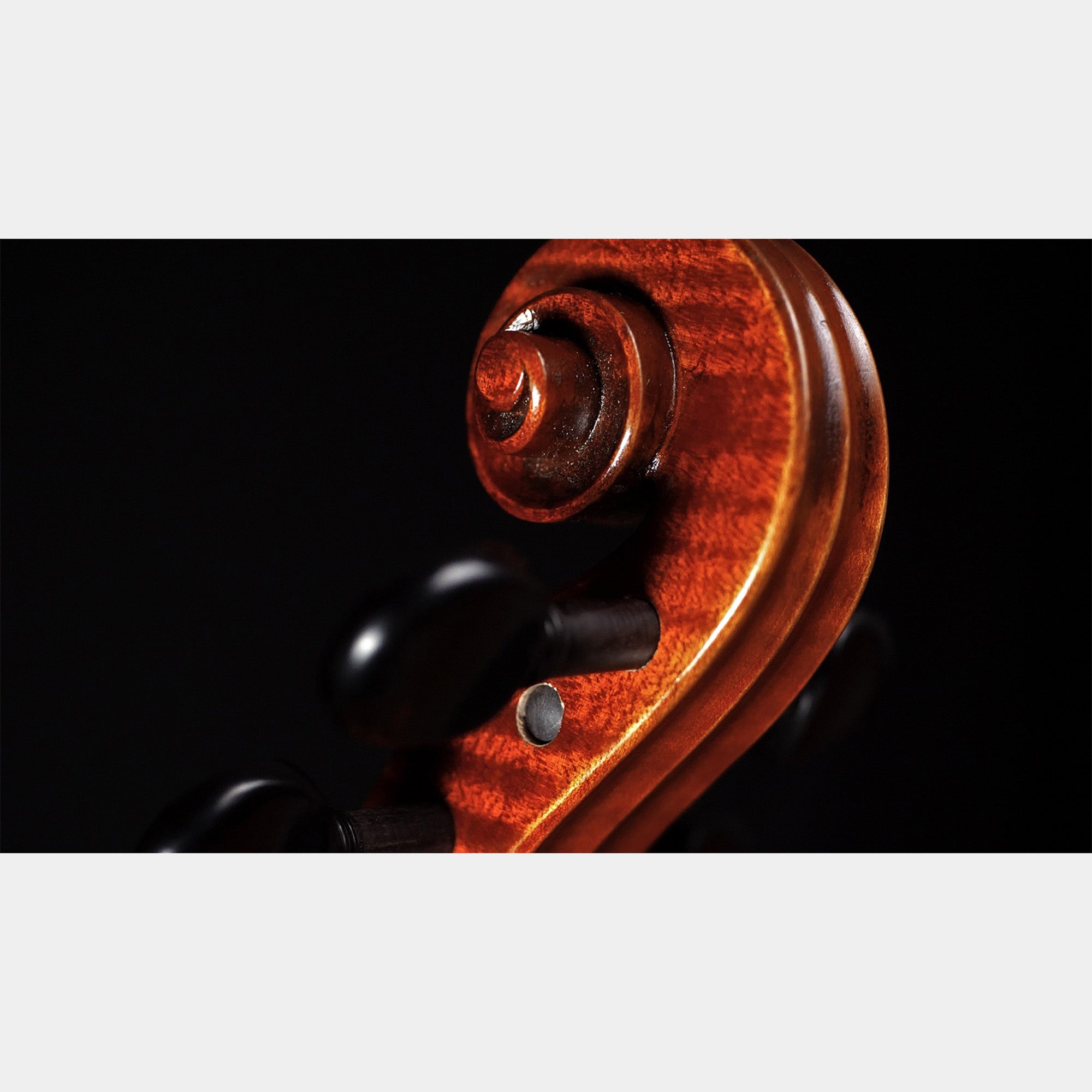 Barnabetti Violin