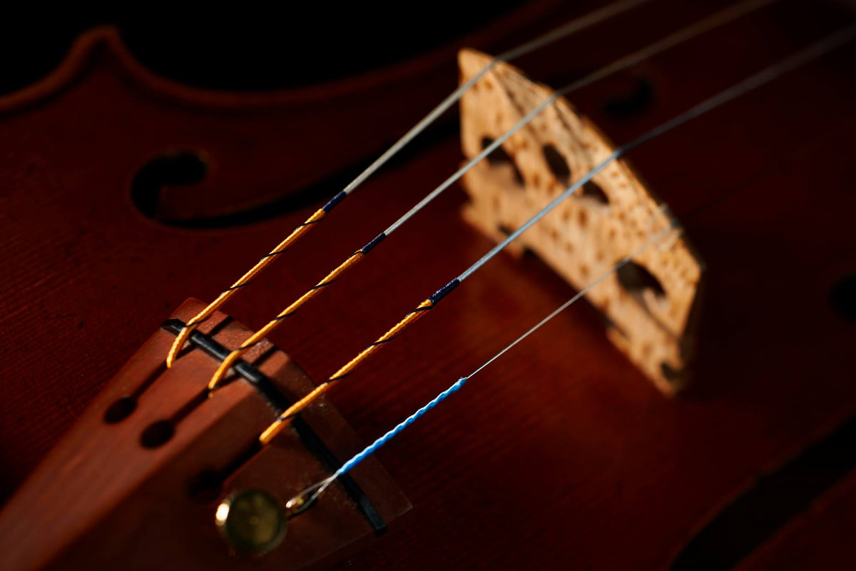 Stringers Music | Violins, Violas, Cellos, Bows, Strings & Cases