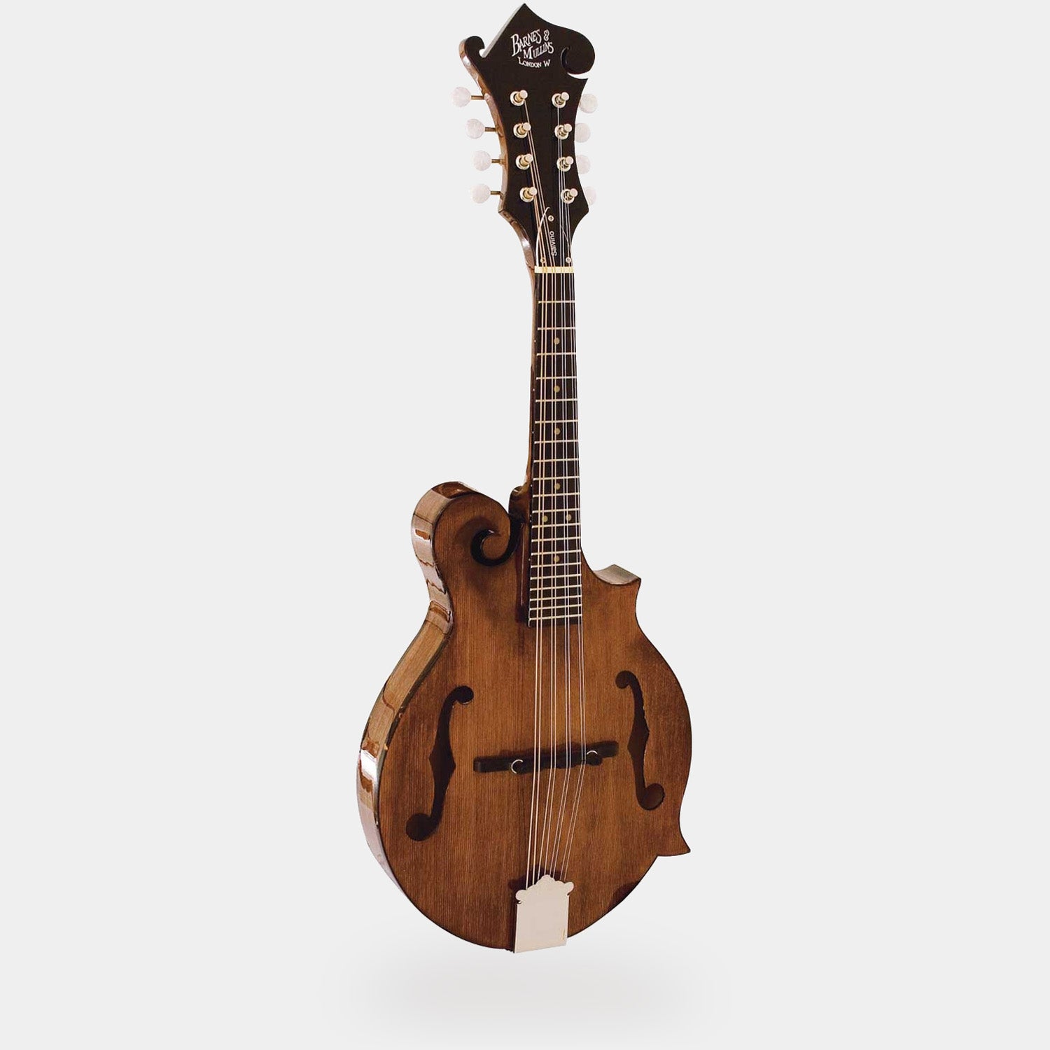 Salvino F-Style Mandolin