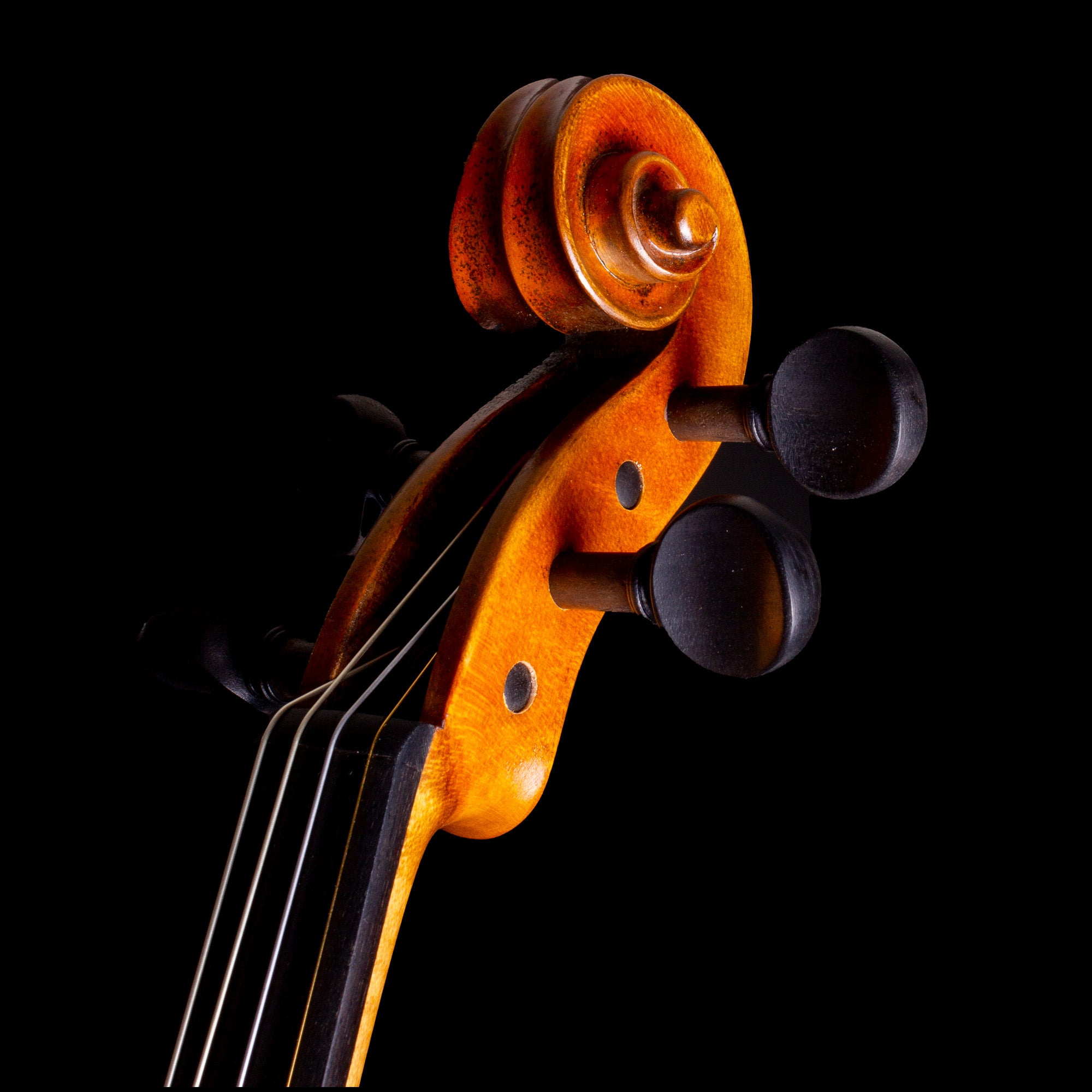 Master V Violin