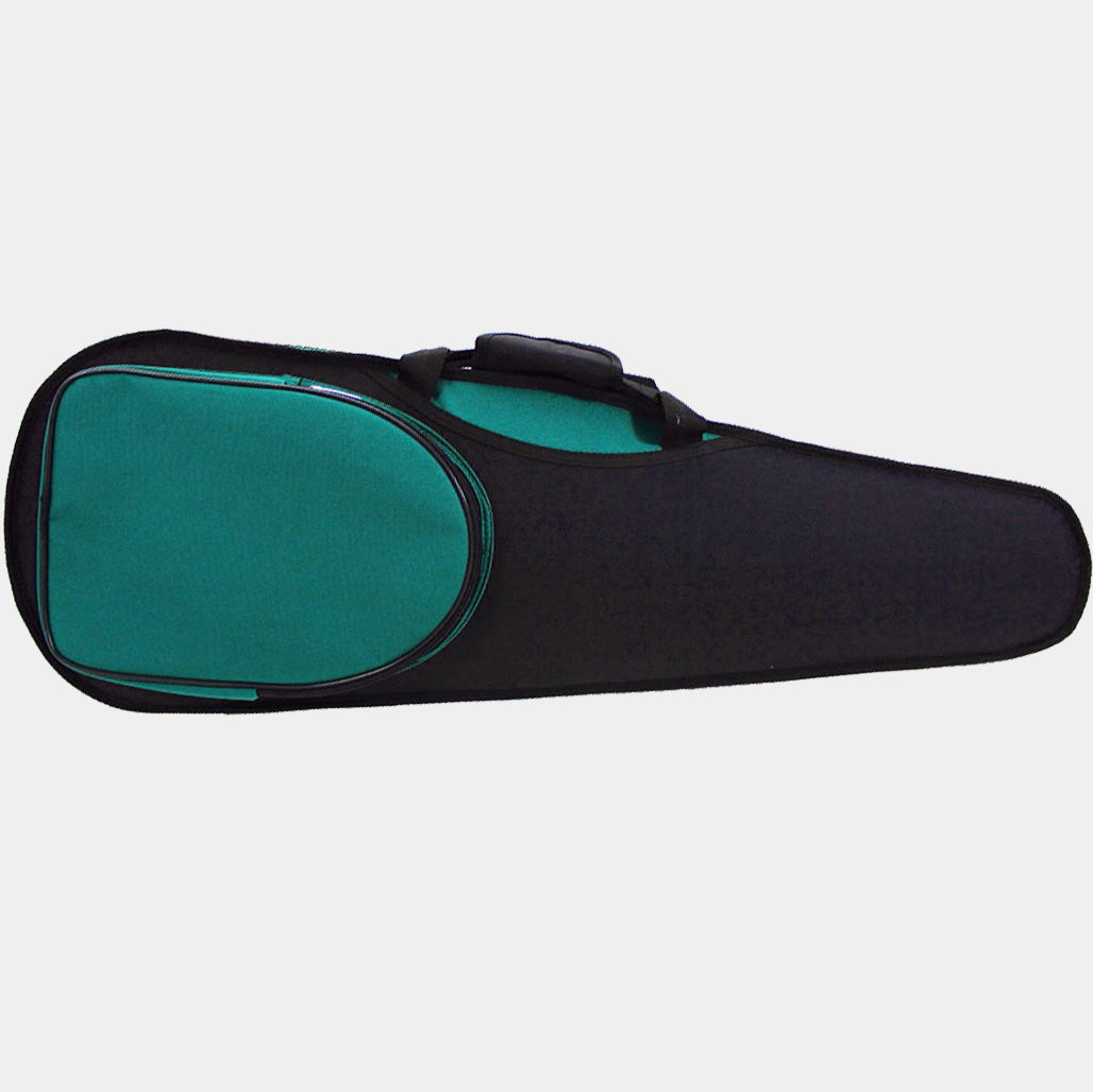 Shaped violin case